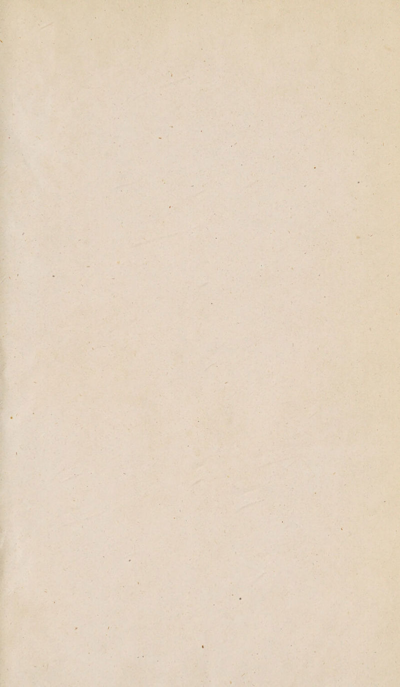 » V ; •! ' ' Ai* 4 r \ - * » ! i . » /