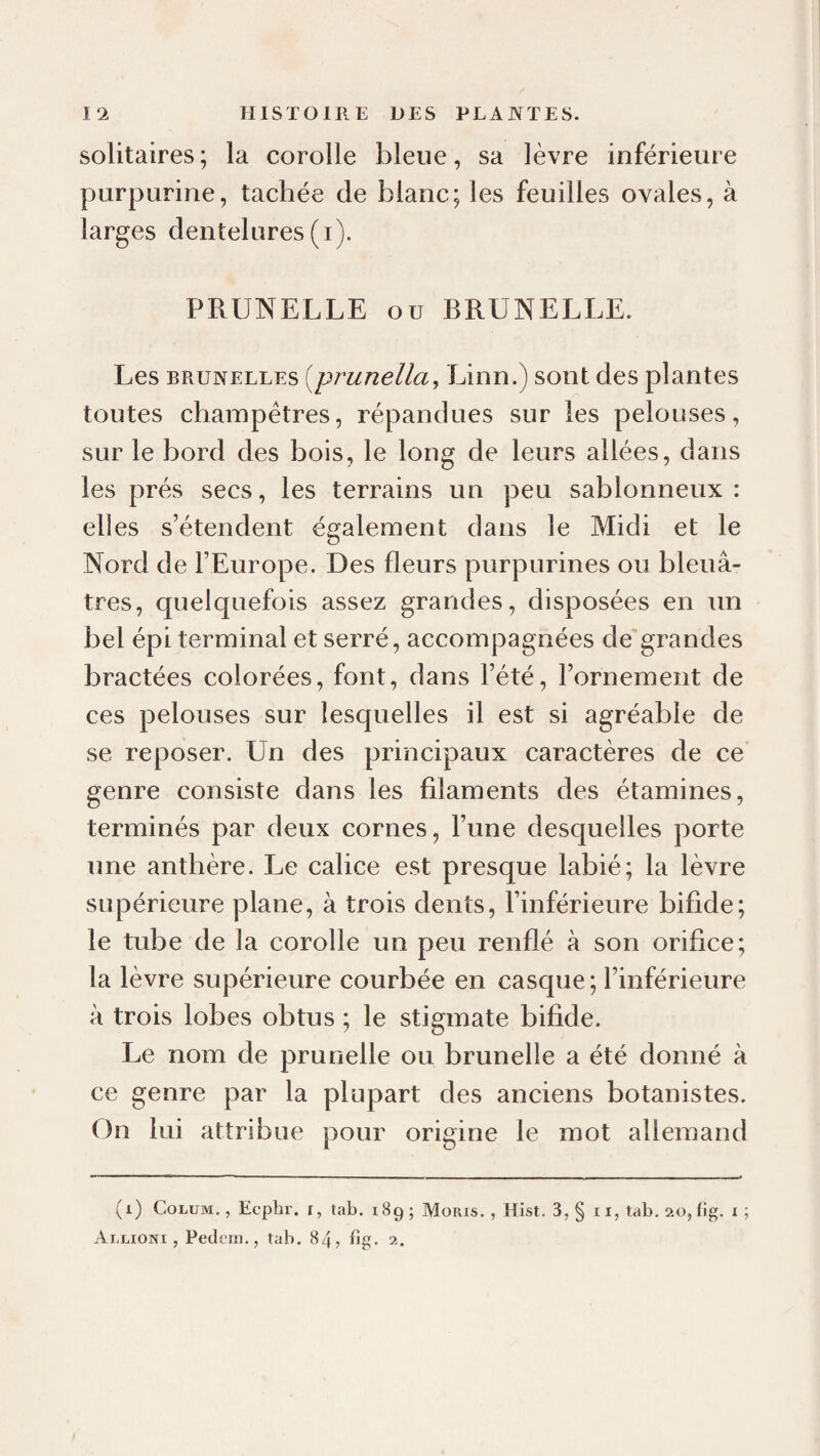 solitaires ; la corolle bleue, sa lèvre inférieure purpurine, tachée de blanc; les feuilles ovales, à larges dentelures (i). PRUNELLE ou BRUNELLE. Les BRUNELLES [prunella, Linn.) sont des plantes toutes champêtres, répandues sur les pelouses, sur le bord des bois, le long de leurs allées, dans les prés secs, les terrains un peu sablonneux : elles s’étendent également dans le Midi et le Nord de l’Europe. Des fleurs purpurines ou bleuâ¬ tres, quelquefois assez grandes, disposées en un bel épi terminal et serré, accompagnées de'grandes bractées colorées, font, dans l’été, l’ornement de ces pelouses sur lesquelles il est si agréable de se reposer. Un des principaux caractères de ce genre consiste dans les filaments des étamines, terminés par deux cornes, l’une desquelles porte une anthère. Le calice est presque labié; la lèvre supérieure plane, à trois dents, l’inférieure bifide; le tube de la corolle un peu renflé à son orifice; la lèvre supérieure courbée en casque ; l’inférieure à trois lobes obtus ; le stigmate bifide. Le nom de prunelle ou brunelle a été donné à ce genre par la plupart des anciens botanistes. On lui attribue pour origine le mot allemand (i) CoLUM., Ecphr. I, tab. 189; Moris. , Hist. 3, § 11, tab. ao, lîg. x ; Arlioni , Pedeiii., tab. 84, fig. 2.