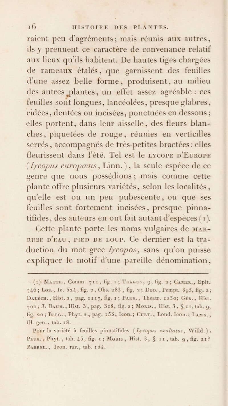 raient peu d’agréments; mais réunis aux autres, ils y prennent ce caractère de convenance relatif aux lieux qu’ils habitent. De hautes tiges chargées de rameaux étalés, que garnissent des feuilles d'une assez belle forme, produisent, au milieu des autres j3lantes, un effet assez agréable: ces feuilles sont longues, lancéolées, presque glabres, ridées, dentées ou incisées, ponctuées en dessous; elles portent, dans leur aisselle, des fleurs blan¬ ches, piquetées de rouge, réunies en verticilles serrés, accompagnés de très-petites bractées: elles fleurissent dans l’été. Tel est le lycope d'Europe ( lycopus europœus, Linn.), la seule espèce de ce genre que nous possédions ; mais comme cette plante offre plusieurs variétés, selon les localités, qu'elle est ou un peu pubescente, ou que ses fetiilles sont fortement incisées, presque pinna- tifides, des auteurs en ont fait autant d’espèces (i). Cette plante porte les noms vulgaires de 3iar- RURE d'eau, pied DE LOUP. Ce dernier est la tra¬ duction du mot grec lycopos^ sans qu'on puisse expliquer le motif d’une pareille dénomination. (i) Maïth., CoiBin. 711, tig. I ; Tragvs, 9, fîg. 2; Epit. 746 ; Lob. , le. 52 4 5 fig- 2 , Obs. 283 , lîg. 2 ; Dod. , Pempt. Ôpo, lîg. 2 ; Ualéch. , Hist. 2 , pag. 1117, lîg. i; Park. , Tbeatr. i23o; Gfr., Hist. 700 ; J. Baeth. , Hist. 3 , pag. 3 18, lîg. 2 ; îMoris. , Hist. 3 , § 11, tab. 9, rîg. 20 ; Berg. , Pbyt. 2 , pag. i53 , Icon. ; Ccrt. , Lond. Icou. ; Lame. , 111. gen., tab. 18. Pour la variété à feuilles pinnatüides {^Lycopus exaltatus, Willd.), Plue. , Pbyt., tab. 45, bg. i ; Moris , Hist. 3 , ^ 11 , tab. 9 , lîg. 21 ? Barrel, , Icon. rar., tab. i54.