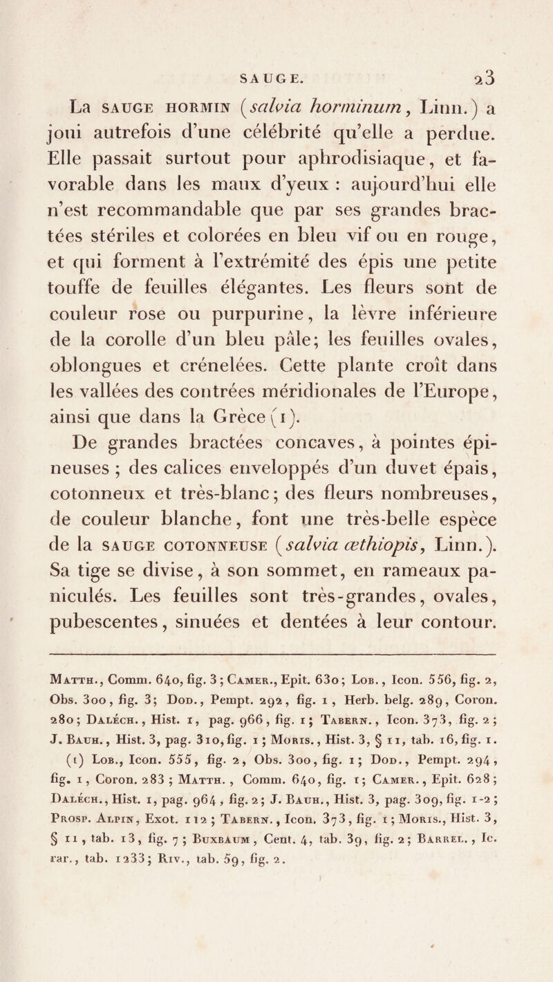 La SAUGE HORMiN (^salçia horminurn, Linii.) a joui autrefois d’une célébrité qu’elle a perdue. Elle passait surtout pour aphrodisiaque, et fa¬ vorable dans les maux d’yeux : aujourd’hui elle n’est recommandable que par ses grandes brac¬ tées stériles et colorées en bleu vif ou en rouge, et qui forment à l’extrémité des épis une petite touffe de feuilles élégantes. Les fleurs sont de couleur rose ou purpurine, la lèvre inférieure de la corolle d’un bleu pâle; les feuilles ovales, oblongues et crénelées. Cette plante croît dans les vallées des contrées méridionales de l’Europe, ainsi que dans la Grèce (i). De grandes bractées concaves, à pointes épi¬ neuses ; des calices enveloppés d’un duvet épais, cotonneux et très-blanc; des fleurs nombreuses, de couleur blanche, font une très-belle espèce de la SAUGE gotoxxeüse {^salvia œthiopis, Linn.). Sa tige se divise, à son sommet, en rameaux pa- niculés. Les feuilles sont très-grandes, ovales, pubescentes, sinuées et dentées à leur contour. Matth. , Comm. 640, fig. 3 ; Camer., Epit. 63o ; Lob. , Icon. 556, fig. 2, Obs. 3oo, fig. 3; Dod., Pempt. 292, fig. 1 , Herb. belg. 289, Coron. 280; Daléch. , Hist. I, pag. 966, fig, i; Tabern. , Icon. 378, fig. 2 ; J. Bauh. , Hist. 3, pag. 3io,fig. i ; Moris. , Hist. 3, § ii, tab. 16, fig. i. (i) Lob., Icon. 555, fig. 2, Obs. 3oo, fig. i; Don., Pempt. 294, fig. I, Coron. 283 ; Matth. , Comm. 640, fig. t; Camer. , Epit. 628; Daléch., Hist. I, pag. 964 , fig. 2 ; J. Bauh., Hist. 3, pag. 809, fig, 1-2 ; Prosp. Alpin, Exot, 112; Tabern. , Icon. 873, fig, i ; Moris., Hist. 3, § Il , tab. i3, fig. 7 ; Buxbaum , Cent. 4, tab. 89, fig. 2; Barrel. , le.