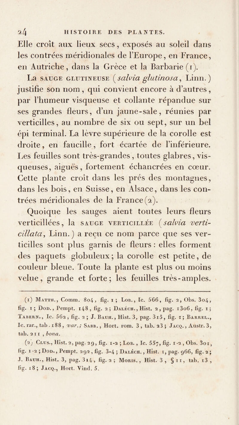 Elle croît aux lieux secs, exposés au soleil dans les contrées méridionales de l’Europe, eu France, en Autriche, dans la Grèce et la Barbarie (i). La SAUGE GLUTiNEUSE {^salvia glutinosa ^ Linn. ) justifie son nom, qui convient encore à d’autres, par l’humeur visqueuse et collante répandue sur ses grandes fleurs, d’un jaune-sale, réunies par verticilles, au nombre de six ou sept, sur un bel épi terminal. La lèvre supérieure de la corolle est droite, en faucille, fort écartée de l’inférieure. Les feuilles sont très-grandes , toutes glabres, vis¬ queuses, aiguës, fortement échancrées en cœur. Cette plante croît dans les prés des montagnes, dans les bois, en Suisse, en Alsace, dans les con¬ trées méridionales de la France (2). / Quoique les sauges aient toutes leurs fleurs verticillées, la sauge a^erticillée {sahia verti- dilata^ Linn.) a reçu ce nom parce que ses ver¬ ticilles sont plus garnis de fleurs : elles forment des paquets globuleux; la corolle est petite, de couleur bleue. Toute la plante est plus ou moins velue, grande et forte ; les feuilles très-amples. (i) Matth,, Comm. 804, fig. i ; Lob., Ic. 566, fig. 2, Obs. 3o4, fig. i; Dod. , Pempt. 148, fig. 2; Daléch. , Hist. 2, pag. i3o6, fig. i; Tabern. , le. 562 , fig. 2 ; J. Bauh. , Hist. 3, pag. 3i5, fig. i ; Barrer., Ic. rar., tab . 188 , 'var.; Sabb. , Hort. rom. 3 , tab. 23 ; Jacq. , Austr. 3, tab. 211 , hona. ip.) Crus., Hist. 2, pag. 29, fig. 1-2 ; Lob. , le. 557, tîg- 1-2 , Obs. 3oi, fig. I -2 ; Dod. , Pempt. 292 , fig. 3-4 ; Daréch. , Hist. i, pag. 966, fig. 2 ; J. Bauh., Hist. 3, pag. 314, fig. 2 ; Moris. , Hist. 3 , § ir, tab. i3 ,