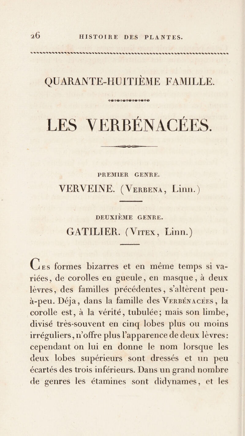 QUARANTE-HUITIÈME FAMILLE. LES VERBÉNACÉES. ■■ rna»<S>rSte^- PREMIER GENRE. VERVEINE. (Verbena, Linii.) DEUXIÈME GEXRE. GATILIER. (ViTEx, Linn.) Ces formes bizarres et en meme temps si va¬ riées, de corolles en gueule, en masque, à deux lèvres, des familles précédentes, s’altèrent peu- à-peu. Déjà, dans la famille des Verbénacees , la corolle est, à la vérité, tubulée; mais son limbe, divisé très-souvent en cinq lobes plus ou moins irréguliers,n’offre plus l’apparence de deux lèvres: cependant on lui en donne le nom lorsque les deux lobes supérieurs sont dressés et un peu écartés des trois inférieurs. Dans un grand nombre de genres les étamines sont didynames, et les