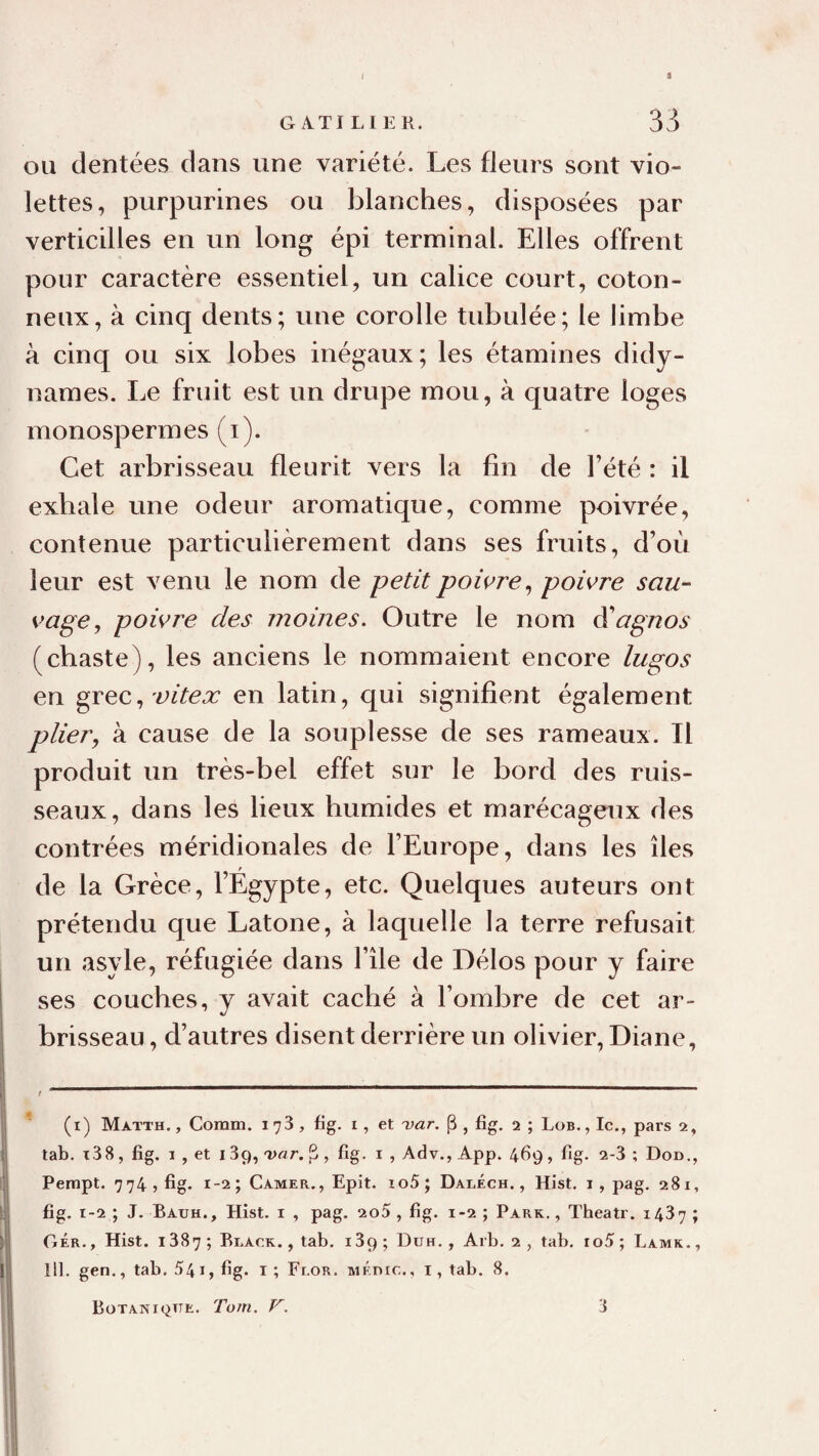 OU dentées dans une variété. Les fleurs sont vio¬ lettes, purpurines ou blanches, disposées par verticilles en un long épi terminal. Elles offrent pour caractère essentiel, un calice court, coton¬ neux, à cinq dents; une corolle tubulée; le limbe à cinq ou six lobes inégaux; les étamines didy- names. I.e fruit est un drupe mou, à quatre loges monospermes (i). Cet arbrisseau fleurit vers la fin de l’été : il exhale une odeur aromatique, comme poivrée, contenue particulièrement dans ses fruits, d’où leur est venu le nom de petit poivre^ poivre sau-‘ vage, poivre des moines. Outre le nom ^agnos (chaste), les anciens le nommaient encore lugos en grec, 7;ùex en latin, qui signifient également plier, à cause de la souplesse de ses rameaux. Il produit un très-bel effet sur le bord des ruis¬ seaux, dans les lieux humides et marécageux des contrées méridionales de l’Europe, dans les îles de la Grèce, l’Égypte, etc. Quelques auteurs ont prétendu que Latone, à laquelle la terre refusait un asyle, réfugiée dans l’île de Délos pour y faire ses couches, y avait caché à l’ombre de cet ar¬ brisseau , d’autres disent derrière un olivier, Diane, (i) Matth,, Comm. 173, fig. i, et uar, P, fig. 2 ; Lob., le., pars 2, tab. t38 , fig, 1 , et 13(), 'var. S, fig. i , Adv., App. 469, fig. 2-3 ; Dod., Perapt. 774, fig. 1-2; Camer., Epit. io5; Daeéch. , Hist. i, pag. 281, fig. t-2 ; J. Bauh., Hist. i , pag. 2o5 , fig. 1-2 ; Park. , Theatr. 1437 ; Gér, , Hist. 1387 ; Black. , tab. 189; Duh. , Arb. 2 , tab. to5 ; Lamk. , 111. gen., tab. 541, fig. i ; Flor. MÉnic,, i, tab. 8. Bütaniqtte. Torn. V, 3