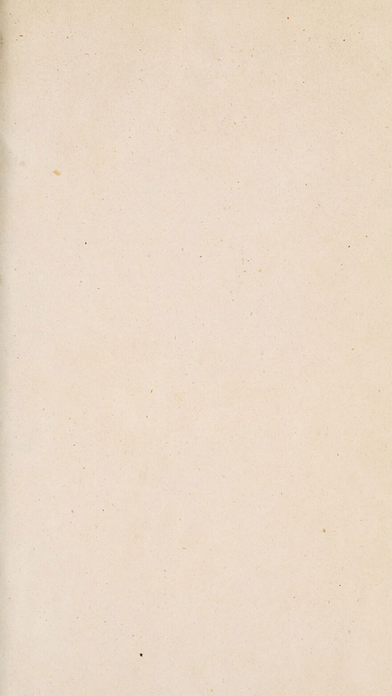 • . i-. / \ rr fl L / • '■ O /î. • ' \ r - \ * \ • / fi y C'i r V* l'b» ' - ■ ' t, ! -ï ; 1 > J « l I ^ f '/V i ■if ï % 1