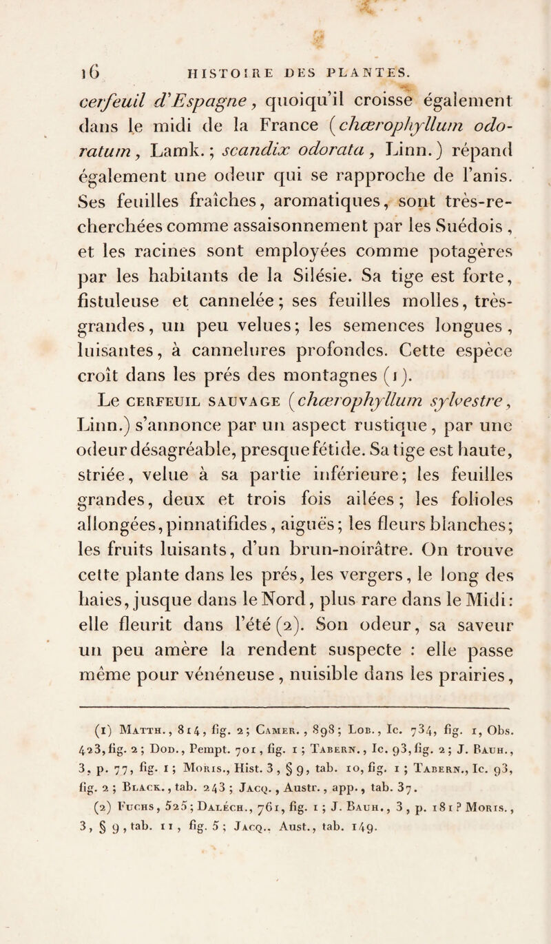 cerfeuil (TEspagne y quoiqu’il croisse également dans le midi de la France {chœrophjllum odo- ratum y Lamk. ; scandix odorata y Linn.) répand également une odeur qui se rapproche de Fanis. Ses feuilles fraîches, aromatiques, sont très-re¬ cherchées comme assaisonnement par les Suédois , et les racines sont employées comme potagères par les habitants de la Silésie. Sa tige est forte, fistuleuse et cannelée; ses feuilles molles, très- grandes, un peu velues; les semences longues, luisantes, à cannelures profondes. Cette espèce croît dans les prés des montagnes (i). Le CERFEUIL SAUVAGE { chœrophjllum sylvestre y Linn.) s’annonce par un aspect rustique, par une odeur désagréable, presque fétide. Sa tige est haute, striée, velue à sa partie inférieure; les feuilles grandes, deux et trois fois ailées; les folioles allongées,pinnatifides, aiguës; les fleurs blanches; les fruits luisants, d’un brun-noirâtre. On trouve cette plante dans les prés, les vergers, le long des haies, jusque dans le Nord, plus rare dans le Midi : elle fleurit dans l’été (2). Son odeur, sa saveur un peu amère la rendent suspecte : elle passe meme pour vénéneuse , nuisible dans les prairies, (1) Ma-tth., 8i4, lîg. 2; Camer. , 898; Lob., Ic. 784, fig. i, Obs. 428, fig. 2 ; UoD., Peinpt. 701, fig. i ; Tabern. , le. 98, fig. 2 ; J. Bauh. , 3. P* 77 J fig- I ; Moris., Hist. 3 , § 9, tab. 10, fig, i ; Tabern., Ic. 98, fig. 2 ; Black. , tab. 248; Jacq. , Austr., app., tab. 87. (2) Fuchs , 52 5 ; DalÉch., 761, fig. i ; J. Bauh, , 3 , p. 18 i Moris. , 3, §9, tab. Il, fig. 5 ; Jacq., Aust., tab. 149.