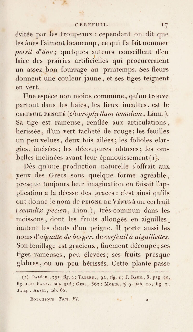 évitée par les troupeaux : cependant on dit que les ânes Faiment beaucoup, ce qui Ta fait nommer persil d'âne; quelques auteurs conseillent d’en faire des prairies artificielles qui procureraient un assez bon fourrage au printemps. Ses fleurs donnent une couleur jaune, et ses tiges teignent en vert. Une espèce non moins commune, qu’on trouve partout dans les baies, les lieux incultes, est le CERFEUIL PENCHÉ [chœropliyllum temulum, Linn. ). Sa tige est rameuse, renflée aux articulations, hérissée, d’un vert tacheté de rouge; les feuilles un peu velues, deux fois ailées; les folioles élar¬ gies, incisées; les découpures obtuses; les om¬ belles inclinées avant leur épanouissement(i). Dès qu’une production naturelle s’offrait aux yeux des Grecs sous quelque forme agréable, presque toujours leur imagination en faisait l’ap¬ plication à la déesse des grâces : c’est ainsi qu’ils ont donné le nom de peigne de Vénus à un cerfeuil {scandix pecten, Linn.), très-commun dans les moissons, dont les fruits allongés en aiguilles^ imitent les dents d’un peigne. Il porte aussi les noms aiguille de berger^ de cerfeuil à aiguillettes. Son feuillage est gracieux, finement découpé; ses tiges rameuses, peu élevées; ses fruits presque glabres, ou un peu hérissés. Cette plante passe (i) Daléch., 791, fig. 2; Tabern., 94, fig. I ; J. Bauh., 3, pag. 70, fig. 1-2; Pakk. , tat). 9t5; Ger., 867; Moris. , § 9, tab. 10, fig. 7; Jacq. , Austr., tab. 65. BoTANtQXTE. Tom, VI. 2
