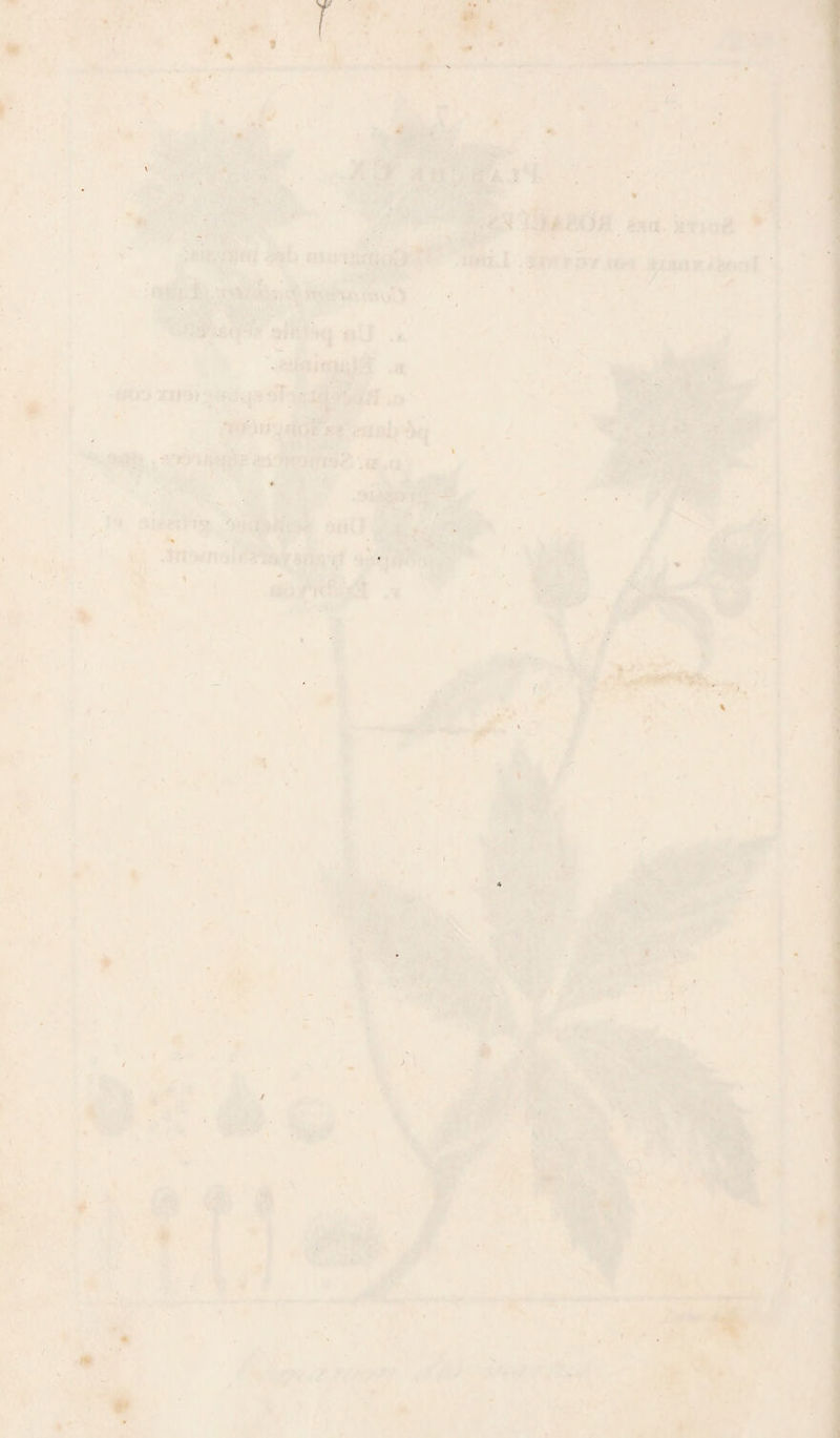m'*- . -a r' >«’ ’ <> 1 .r. • • ' •' k ; 1: V. •* i ■ S',. '-'.'.i'C *' '' '  ‘y; ■ . -■,>.■ . B., . '.A -/ > ' r *jrt ■'.■üt ,» J br ,,^'• ■ i ' é?îa. iüTwiifî ’î .' i. .t,.'■ T ■‘.'^ ' ' ■ ’ . , j - ■\. _ fU' •, ■4 : - r^. 'k:H' •^'ifj uvwçk •.« .a 1 ,;‘î n;r^'Viv> -iiU} ' ■ V., -tn t</tuJr's%iŸ^V/î;t * \ r a'.j'/'fd^V3[ «•)» •‘,i> X «A •Ji, •-4; , > ■*y' K k V / ■■' :a . / t r t