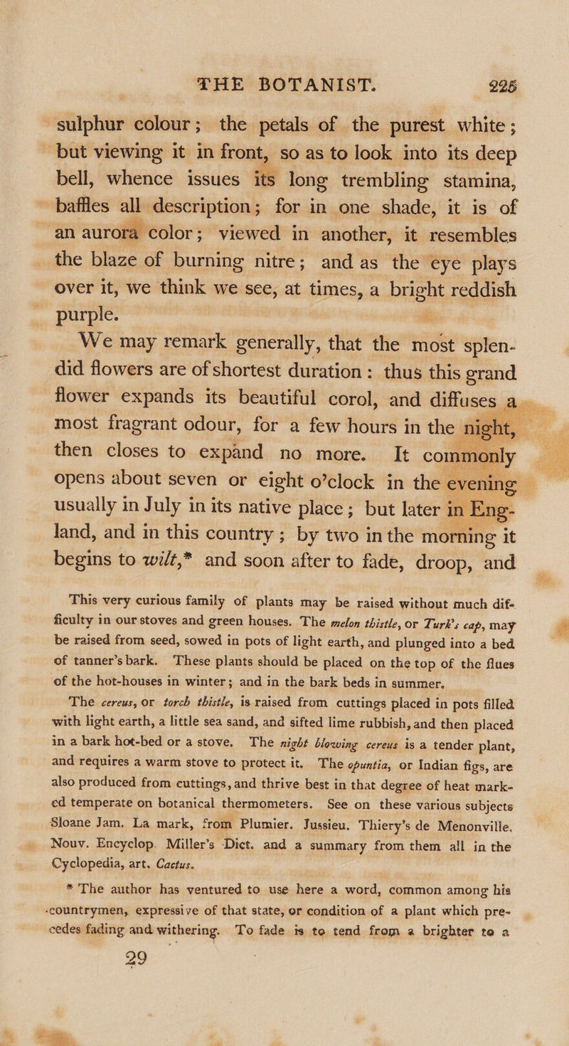    bell, whence issues its long trembling stamina, baffles all description; for in one shade, it is of ra color; viewed in another, it resembles the blaze of burning nitre; and as the eye plays over it, we think we sce, at times, a bright reddish purple. 2 We may remark generally, that the most splen- did flowers are of shortest duration : thus this grand. flower expands its beautiful corol, and diffuses a most fragrant odour, for a few hours in the nig then closes to expand no more. It con opens about seven or eight o’clock in the usually in July in its native place ; but later fey Jand, and in this country ; by two in the morning it begins to wi/t,* and soon after to fade, droop, and     This very curious family of plants may be raised without much dif- ficulty in our stoves and green houses. The melon thistle, or Turk’; cap, may be raised from seed, sowed in pots of light earth, and plunged into a bed of tanner’sbark. These plants should be placed on the top of the flues of the hot-houses in winter; and in the bark beds in summer. The cereus, or torch thistle, is raised from cuttings placed in pots filled with light earth, a little sea sand, and sifted lime rubbish, and then placed in a bark hot-bed or a stove. The night blowing cereus is a tender plant, and requires a warm stove to protect it, The ofuntie, or Indian figs, are also produced from cuttings, and thrive best in that degree of heat mark- ed temperate on botanical thermometers. See on these various subjects Sloane Jam. La mark, from Plumier. Jussieu. Thiery’s de Menonville. Nouv. Encyclop. Miller’s Dict. and a summary from them all in the Cyclopedia, art. Cactus. * The author has ventured to use here a word, common among his \ cedes fading and withering. To fade is to tend from a brighter te a 29  