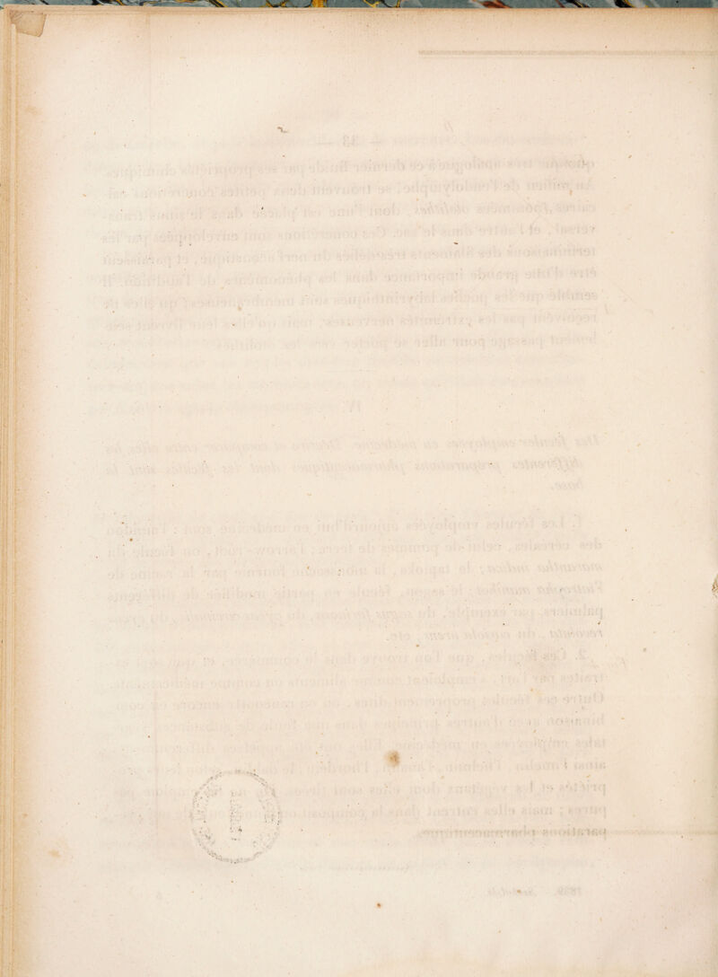I * ■ • ' * / ) ■ 1 ' • ■ . . • . . / c* • \ ' . _ f • X • \ ' ; . ’ * • : % \ • ' ^ A . i ■■ . i i • i ' . < * » \ 4 • '■ = ’ - • : • •• ** : r- b. s -:.r