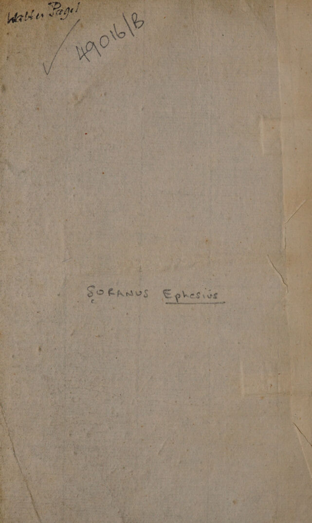 digitised image 2