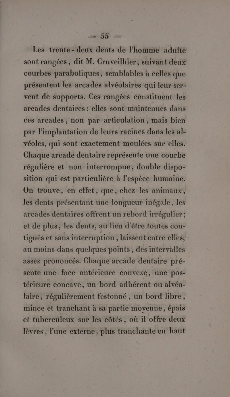 OM 2e Les trente - deux dents de l’homme adulte sont rangées , dit M. Cruveilhier, suivant deux courbes paraboliques, semblables à celles que présentent les arcades alvéolaires qui leur ser- vent de supports. Ces rangées constituent les arcades dentaires : elles sont maintenues dans ces arcades, non par articulation , mais bien par l'implantation de leurs racines dans les al- véoles, qui sont exactement moulées sur elles. Chaque arcade dentaire représente une courbe régulière et non interrompue, double dispo- sition qui est particulière à l’espèce humaine. On trouve, en effet, que, chez les animaux, les dents présentant une longueur inégale, les arcades dentaires offrent un rebord irrégulier; et de plus, les dents, au liéu ‘être toutes con- tiguës et sans interruption , laissent entre elles, au moins dans quelques pots , des intervalles assez prononcés. Chaque arcade dentaire pré- sente une face antérieure convexe, une pos- térieure concave, un bord adhérent ou alvéo- laire, résulièrement festonné, un bord libre, mince et tranchant à sa partie moyenne, épais et tuberculeux sur les côtés, où il offre deux lèvres , lune externe, plus tranchante en haut