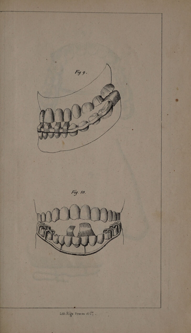 TN is XOSAN v | AY \ \ NS | 4) N NN AA US | —_—_—__———————————_—————— ————————hù — Lith Rigo Freres et ge ;