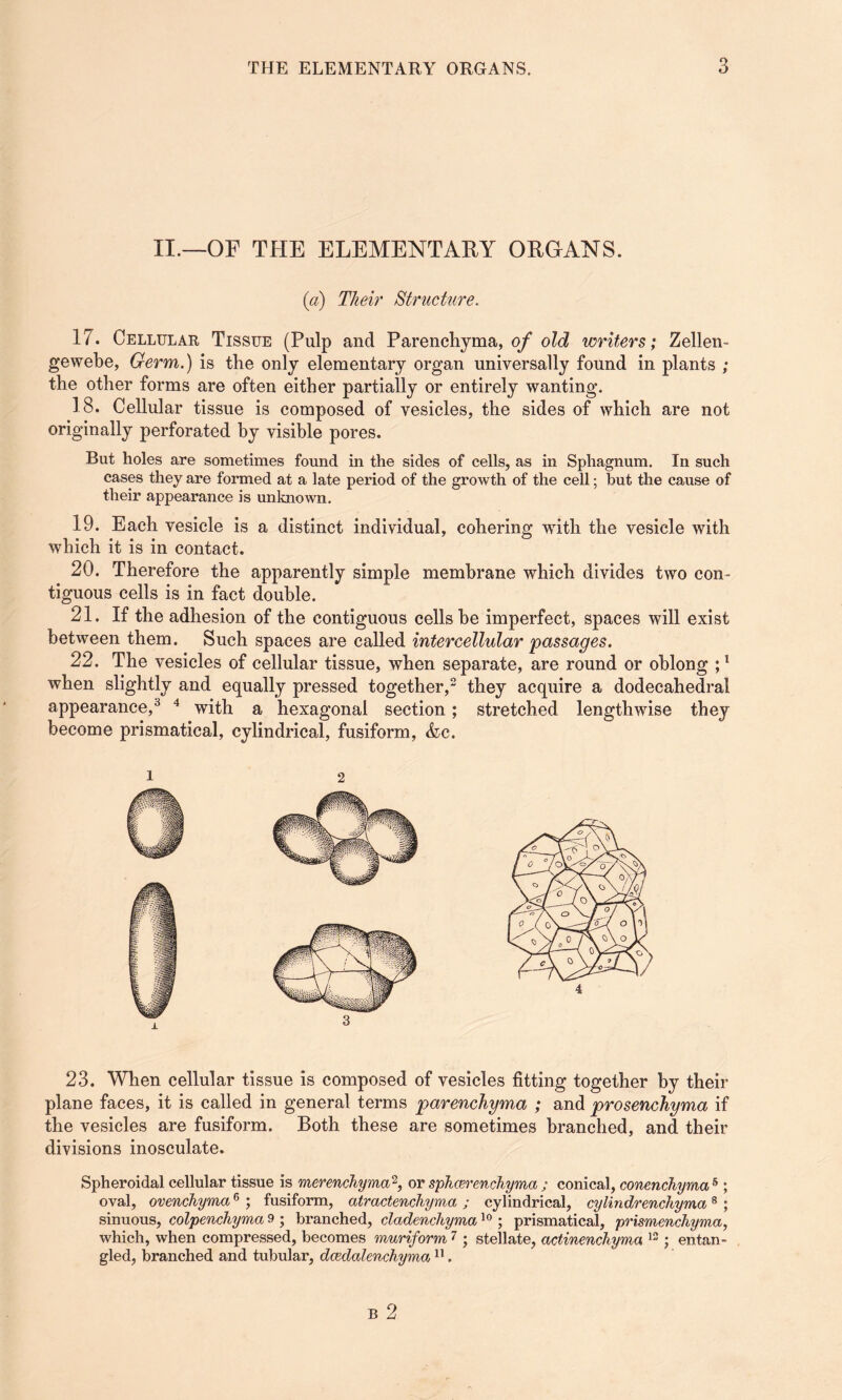 II.—OF THE ELEMENTARY ORGANS. (a) Their Structure. 17. Cellular Tissue (Pulp and Parenchyma, of old writers; Zellen- gewebe, Germ.) is the only elementary organ universally found in plants ; the other forms are often either partially or entirely wanting. 18. Cellular tissue is composed of vesicles, the sides of which are not originally perforated by visible pores. But holes are sometimes found in the sides of cells, as in Sphagnum. In such cases they are formed at a late period of the growth of the cell; but the cause of their appearance is unknown. 19. Each vesicle is a distinct individual, cohering with the vesicle with which it is in contact. 20. Therefore the apparently simple membrane which divides two con¬ tiguous cells is in fact double. 21. If the adhesion of the contiguous cells he imperfect, spaces will exist between them. Such spaces are called intercellular passages. 22. The vesicles of cellular tissue, when separate, are round or oblong ;1 when slightly and equally pressed together,2 they acquire a dodecahedral appearance,3 4 with a hexagonal section; stretched lengthwise they become prismatical, cylindrical, fusiform, &c. 1 2 23. When cellular tissue is composed of vesicles fitting together by their plane faces, it is called in general terms parenchyma ; and prosenchyma if the vesicles are fusiform. Both these are sometimes branched, and their divisions inosculate. Spheroidal cellular tissue is merenchyma2, or sphcerenchyma ; conical, conenchyma 5 ; oval, ovenchyma6 ; fusiform, atractenchyma ; cylindrical, cylindrenchyma8 ; sinuous, colpenchyma 9 ; branched, cladencliyma10 ; prismatical, prismenchyma, which, when compressed, becomes muriform7; stellate, actinenchyma 12; entan¬ gled, branched and tubular, dcedalenchyma11.