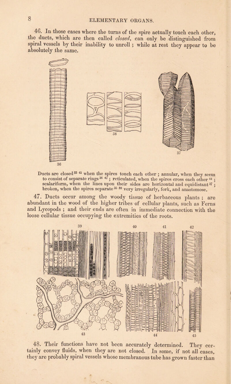 46. In those cases where the turns of the spire actually touch each other, the ducts, which are then called closed, can only be distinguished from spiral vessels by their inability to unroll ; while at rest they appear to he absolutely the same. 36 Ducts are closed33 45 when the spires touch each other ; annular, when they seem to consist of separate rings 36 42 ; reticulated, when the spires cross each other 44 ; scalariform, when the lines upon their sides are horizontal and equidistant37; broken, when the spires separate 35 33 very irregularly, fork, and anastomose. 47. Ducts occur among the woody tissue of herbaceous plants ; are abundant in the wood of the higher tribes of cellular plants, such as Ferns and Lycopods ; and their ends are often in immediate connection with the loose cellular tissue occupying the extremities of the roots. 48. Their functions have not been accurately determined. They cer¬ tainly convey fluids, when they are not closed, In some, if not all cases, they are probably spiral vessels whose membranous tube has grown faster than