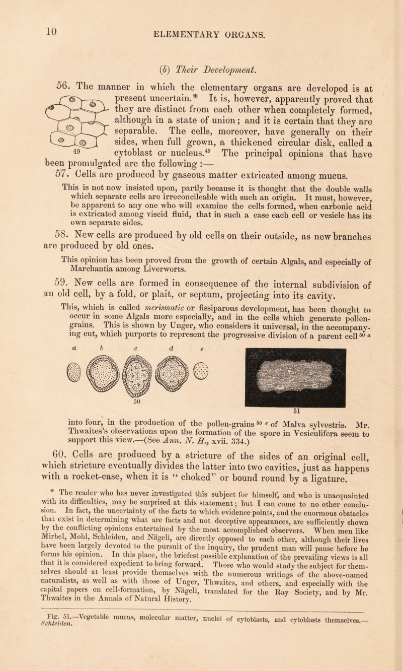 (b) Their Development. 56. The manner in which the elementary organs are developed is at present uncertain.* It is, however, apparently proved that they are distinct from each other when completely formed, although in a state of union ; and it is certain that they are separable. The cells, moreover, have generally on their sides, when full grown, a thickened circular disk, called a cytoblast or nucleus.49 The principal opinions that have been promulgated are the following :— 57. Cells are produced by gaseous matter extricated among mucus. This is not now insisted upon, partly because it is thought that the double walls which separate cells are irreconcileable with such an origin. It must, however, be apparent to any one who will examine the cells formed, when carbonic acid is extricated among viscid fluid, that in such a case each cell or vesicle has its own separate sides. o8. New cells are produced by old cells on their outside, as new branches are produced by old ones. This opinion has been proved from the growth of certain Algals, and especially of Marchantia among Liverworts. 59. New cells are formed in consequence of the internal subdivision of an old cell, by a fold, or plait, or septum, projecting into its cavity. This, which is called merismatic or fissiparous development, has been thought to occur in some Algals more especially, and in the cells which generate pollen- grains. This is shown by Unger, who considers it universal, in the accompany¬ ing cut, which purports to represent the progressive division of a parent cell6U « into four, in the production of the pollen-grains50 e of Malva sylvestris. Mr. Thwaites’s observations upon the formation of the spore in Yesiculifera seem to support this view.—(See Ann. N. //., xvii. 334.) 60. Cells are produced by a stricture of the sides of an original cell, which stricture eventually divides the latter into two cavities, just as happens with a rocket-case, when it is “ choked” or bound round by a ligature. * The reader who has never investigated this subject for himself, and who is unacquainted with its difficulties, may be surprised at this statement; but I can come to no other conclu¬ sion. In fact, the uncertainty of the facts to which evidence points, and the enormous obstacles that exist in deteimining what are facts and not deceptive appearances, are sufficiently shown by the conflicting opinions entertained by the most accomplished observers. When men like Mil bel, Mohl, Schleiden, and Niigeli, are directly opposed to each other, although their lives have been largely devoted to the pursuit of the inquiry, the prudent man will pause before he foims his opinion. In this place, the briefest possible explanation of the prevailing views is all that it is considered expedient to bring forward. Those who would study the subject for them¬ selves should at least piovide themselves with the numerous writings of the above-named naturalists, as well as with those of Unger, Thwaites, and others, and especially with the capital papeis on cell-formation, by Nageli, translated for the Ray Society, and by Mr. Thwaites in the Annals of Natural History. Fig. 51.—-Vegetable mucus, molecular matter, nuclei of Schleiden. cytoblasts, and cytoblasts themselves.—