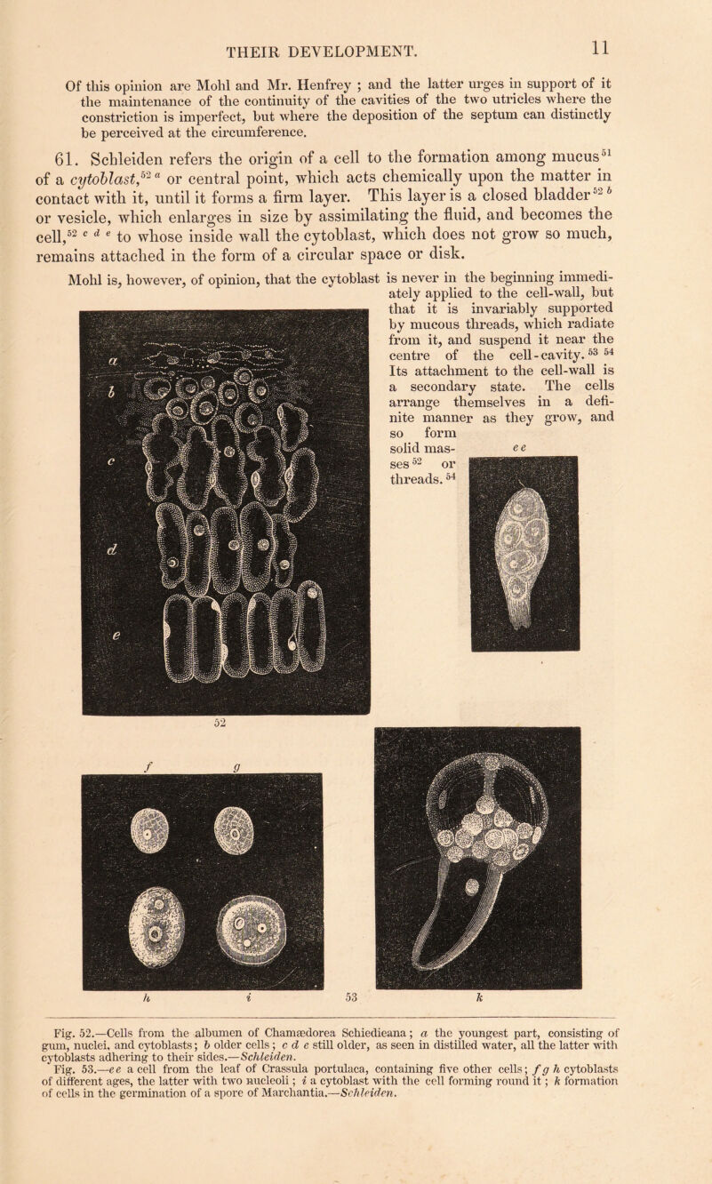 Of this opinion are Mohl and Mr. Henfrey ; and the latter urges in support of it the maintenance of the continuity of the cavities of the two utricles where the constriction is imperfect, but where the deposition of the septum can distinctly be perceived at the circumference. 61. Schleiden refers the origin of a cell to the formation among mucus51 of a cytoblast,b'2 a or central point, which acts chemically upon the matter in contact with it, until it forms a firm layer. This layer is a closed bladder0^6 or vesicle, which enlarges in size by assimilating the fluid, and becomes the cell,52 c d e to whose inside wall the cytoblast, which does not grow so much, remains attached in the form of a circular space or disk. Mohl is, however, of opinion, that the cytoblast is never in the beginning immedi¬ ately applied to the cell-wall, but that it is invariably supported by mucous threads, which radiate from it, and suspend it near the centre of the cell - cavity. 53 54 Its attachment to the cell-wall is a secondary state. The cells arrange themselves in a defi¬ nite manner as they grow, and so form solid mas¬ ses 52 or threads.54 Fig. 52.—Cells from the albumen of Chamaxlorea Schiedieana; a the youngest part, consisting of gum, nuclei, and cytoblasts; b older cells ; c d e still older, as seen in distilled water, all the latter with cytoblasts adhering to their sides.—Schleiden. Fig. 53.—ee a cell from the leaf of Crassula portulaca, containing five other cells; f g h cytoblasts of different ages, the latter with two nucleoli; % a cytoblast with the cell forming round it; h formation of cells in the germination of a spore of Marchantia.—Schleiden.