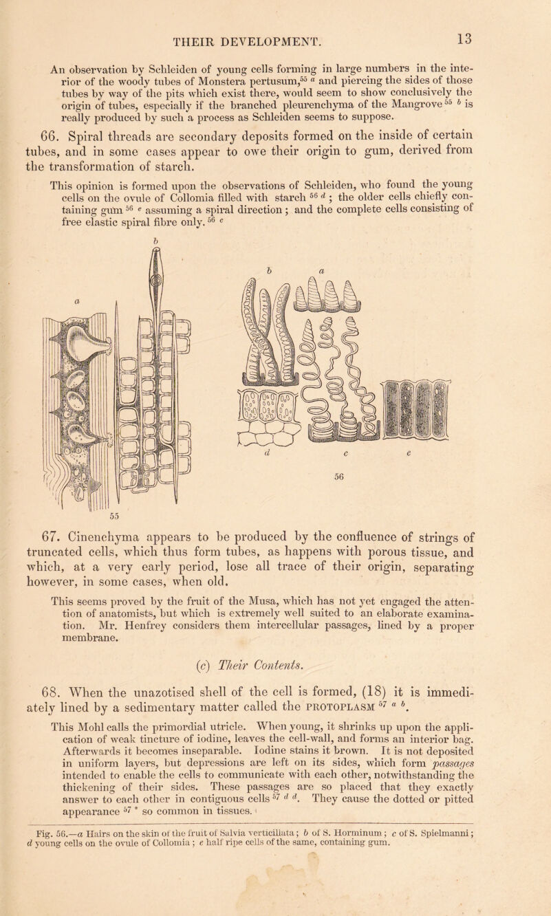 An observation by Schleiden of young cells forming in large numbers in the inte¬ rior of the woody tubes of Monstera pertusum,55 a and piercing the sides of those tubes by way of the pits which exist there, would seem to show conclusively the origin of tubes, especially if the branched pleurenchyma of the Mangrove50 h is really produced by such a process as Schleiden seems to suppose. 66. Spiral threads are secondary deposits formed on the inside of certain tubes, and in some cases appear to owe their origin to gum, derived from the transformation of starch. This opinion is formed upon the observations of Schleiden, who found the young cells on the ovule of Collomia filled with starch 56 d ; the older cells chiefly con¬ taining gum 56 e assuming a spiral direction ; and the complete cells consisting of free elastic spiral fibre only.56 c b 55 67. Cinenchyma appears to he produced by the confluence of strings of truncated cells, which thus form tubes, as happens with porous tissue, and which, at a very early period, lose all trace of their origin, separating however, in some cases, when old. This seems proved by the fruit of the Musa, which has not yet engaged the atten¬ tion of anatomists, but which is extremely well suited to an elaborate examina¬ tion. Mr. Henfrey considers them intercellular passages, lined by a proper membrane. (c) Their Contents. 68. When the unazotised shell of the cell is formed, (18) it is immedi¬ ately lined by a sedimentary matter called the protoplasm 57 a b. This Mohl calls the primordial utricle. When young, it shrinks up upon the appli¬ cation of weak tincture of iodine, leaves the cell-wall, and forms an interior bag. Afterwards it becomes inseparable. Iodine stains it brown. It is not deposited in uniform layers, but depressions are left on its sides, which form passages intended to enable the cells to communicate with each other, notwithstanding the thickening of their sides. These passages are so placed that they exactly answer to each other in contiguous cells57 d d. They cause the dotted or pitted appearance 67 * so common in tissues. < Fig. 56.—a Hairs on the skin ot the fruit of Salvia verticillata; b of S. Horminum; c of S. Spielmanni; d young cells on the ovule of Collomia; e half ripe cells of the same, containing gum.