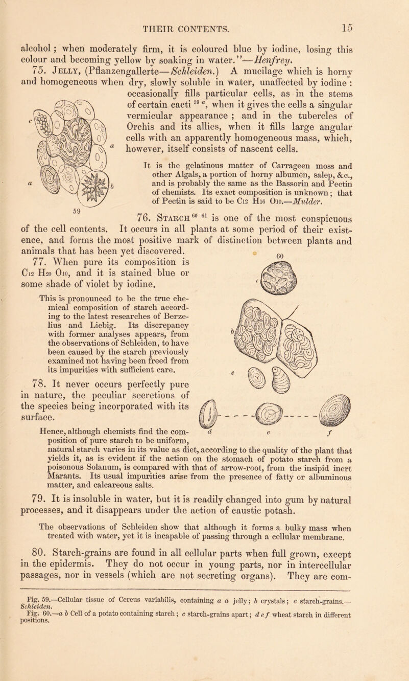 alcohol; when moderately firm, it is coloured blue by iodine, losing this colour and becoming yellow by soaking in water.”—Henfrey. 75. Jelly, (Pflanzengallerte—Schleiden.) A mucilage which is horny and homogeneous when dry, slowly soluble in water, unaffected by iodine : occasionally fills particular cells, as in the stems of certain cacti59 a, when it gives the cells a singular vermicular appearance ; and in the tubercles of Orchis and its allies, when it fills large angular cells with an apparently homogeneous mass, which, however, itself consists of nascent cells. It is the gelatinous matter of Carrageen moss and other Algals, a portion of horny albumen, salep, &c., and is probably the same as the Bassorin and Pectin of chemists. Its exact composition is unknown; that of Pectin is said to be C12 Hie Oio.—Mulder. 76. Starch 60 61 is one of the most conspicuous of the cell contents. It occurs in all plants at some period of their exist¬ ence, and forms the most positive mark of distinction between plants and animals that has been yet discovered. 77. When pure its composition is C12 H20 Oio, and it is stained blue or some shade of violet by iodine. This is pronounced to be the true che¬ mical composition of starch accord¬ ing to the latest researches of Berze¬ lius and Liebig. Its discrepancy with former analyses appears, from the observations of Schleiden, to have been caused by the starch previously examined not having been freed from its impurities with sufficient care. 78. It never occurs perfectly pure in nature, the peculiar secretions of the species being incorporated with its surface. Hence, although chemists find the com¬ position of pure starch to be uniform, natural starch varies in its value as diet, according to the quality of the plant that yields it, as is evident if the action on the stomach of potato starch from a poisonous Solanum, is compared with that of arrow-root, from the insipid inert Marants. Its usual impurities arise from the presence of fatty or albuminous matter, and calcareous salts. 79. It is insoluble in water, but it is readily changed into gum by natural processes, and it disappears under the action of caustic potash. The observations of Schleiden show that although it forms a bulky mass when treated with water, yet it is incapable of passing through a cellular membrane. 80. Starch-grains are found in all cellular parts when full grown, except in the epidermis. They do not occur in young parts, nor in intercellular passages, nor in vessels (which are not secreting organs). They are com- Fig. 59.—Cellular tissue of Cereus variabilis, containing a a jelly; b crystals; c starch-grains.— Schleiden. Fig. 60.—a b Cell of a potato containing starch; c starch-grains apart; def wheat starch in different positions.