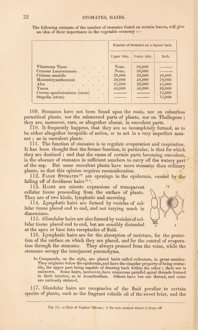 STOMATES, HAIRS. The following estimate of the number of stomates found on certain leaves, will give an idea of their importance in the vegetable economy :— Viburnum Tinus .... Cerasus Laurocerasus . Crinum amabile .... Mesembryanthemum Aloe ...... Yucca ..... Cereus speciosissimus (stem) Stapelia (stem) Number of Stomates on a Square Inch. Upper Side. Under Side. Both. None. None. 20,000 30,000 25,000 40,000 90,000 90,000 20,000 40,000 20,000 40,000 40,000 70,000 45,000 80,000 15,000 15,000 109. Stomates have not been found upon the roots, nor on colourless parasitical plants, nor the submersed parts of plants, nor on Thallogens ; they are, moreover, rare, or altogether absent, in succulent parts. 110. It frequently happens, that they are so incompletely formed, as to be either altogether incapable of action, or to act in a very imperfect man¬ ner ; as in succulent plants. 111. The function of stomates is to regulate evaporation and respiration. It has been thought that the former function, in particular, is that for which they are destined ; and that the cause of certain parts becoming succulent, is the absence of stomates in sufficient numbers to carry off the watery part of the sap. But some succulent plants have more stomates than ordinary plants, so that this opinion requires reconsideration. 112. False Stomates72 are openings in the epidermis, caused by the falling off of deciduous hairs72 “. 113. Hairs are minute expansions of transparent cellular tissue proceeding from the surface of plants. They are of two kinds, lymphatic and secreting. 114. Lymphatic hairs are formed by vesicles of cel¬ lular tissue placed end to end, and not varying much in dimensions. 115. Glandular hairs are also formed by vesicles of cel¬ lular tissue placed end to end, but are sensibly distended at the apex or base into receptacles of fluid. 116. Lymphatic hairs are for the absorption of moisture, for the protec¬ tion of the surface on which they are placed, and for the control of evapora¬ tion through the stomates. They always proceed from the veins, while the stomates occupy the interjacent parenchyma. In Campanula, on the style, are placed hairs called collectors, in great number. They originate below the epidermis, and have the singular property of being retrac¬ tile, the upper part being capable of drawing back within the other ; their use is unknown. Some hairs, moreover, have numerous parallel spiral threads formed in their interior, as in Acanthodium. Others have but one thread, and some are curiously striated. 117. Glandular hairs are receptacles of the fluid peculiar to certain species of plants, such as the fragrant volatile oil of the sweet briar, and the Fig. 72.—a Hair of Nuphar lutcum ; b the hole formed where it drops off.