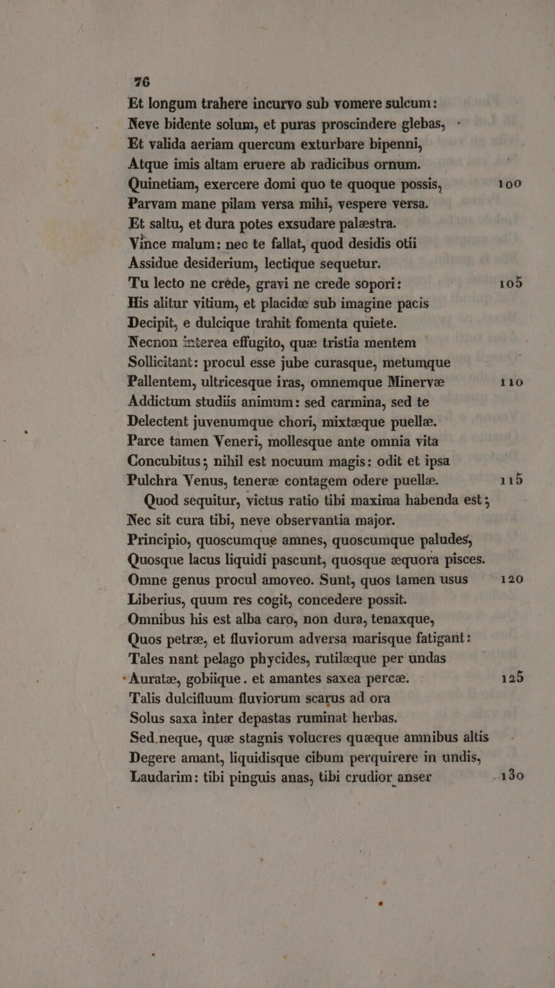 Et longum trahere incuryo sub vomere sulcum: Neve bidente solum, et puras proscindere glebas, Et valida aeriam quercum exturbare bipenni, Atque imis altam eruere ab radicibus ornum. Quinetiam, exercere domi quo te quoque possis, Parvam mane pilam versa mihi, vespere versa. Et saltu, et dura potes exsudare palestra. Vince malum: nec te fallat, quod desidis otii Assidue desiderium, lectique sequetur. Tu lecto ne créde, gravi ne crede sopori: His alitur vitium, et placidee sub imagine pacis Decipit, e dulcique trahit fomenta quiete. Necnon irterea effugito, qua tristia mentem | Sollicitant: procul esse jube curasque, metumque Pallentem, ultricesque iras, omnemque Minerve Addictum studiis animum: sed carmina, sed te Delectent juvenumque chori, mixtzque puella. Parce tamen Veneri, mollesque ante omnia vita Concubitus ; nihil est nocuum magis: odit et ipsa Pulchra Venus, tenere contagem odere puella. Nec sit cura tibi, neve observantia major. Liberius, quum res cogit, concedere possit. Omnibus his est alba caro, non dura, tenaxque, Tales nant pelago phycides, rutileque per undas “Aurate, gobiique. et amantes saxea. perce. Talis dulcifluum fluviorum scarus ad ora Solus saxa inter depastas ruminat herbas. Laudarim: tibi pinguis anas, tibi crudior anser 100 110 115 120 125