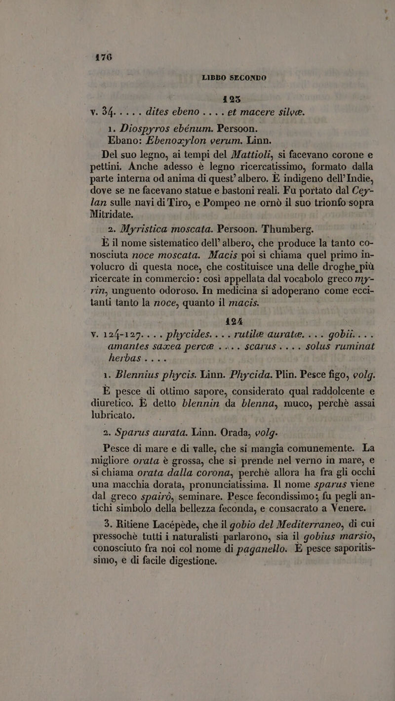 LIBBO SECONDO 425 V. 94. .... dites ebeno .... et macere silva. 1. Diospyros ebénum. Persoon. Ebano: Ebenoxylon verum. Linn. Del suo legno, ai tempi del Mattioli, si facevano corone e pettini. Anche adesso è legno ricercatissimo, formato dalla parte interna od anima di quest’ albero. E indigeno dell’ Indie, dove se ne facevano statue e bastoni reali. Fu portato dal Cey- lan sulle navi di Tiro, e Pompeo ne ornò il suo trionfo sopra Mitridate. 2. Myristica moscata. Persoon. Thumberg. È il nome sistematico dell’ albero, che produce la tanto co- nosciuta noce moscata. Macis poi si chiama quel primo in- volucro di questa noce, che costituisce una delle droghe, più ricercate in commercio: cosi appellata dal vocabolo greco my- rin, unguento odoroso. In medicina si adoperano come ecci- tanti tanto la r20ce, quanto il macis. 194 V. 124-127. . . . phycides....rutile aurate. ... gobii..... amantes sazcea perca . «.. SCArus . ... solus ruminat herbas. «i 1. Blennius phycis. Linn. Phycida. Plin. Pesce figo, volg. E pesce di ottimo sapore, considerato qual raddolcente e diuretico. E detto blennin da blenna, muco, perchè assai lubricato. 2. Sparus aurata. Linn. Orada, volg. Pesce di mare e di valle, che si mangia comunemente. La migliore orata è grossa, che si prende nel verno in mare, e si chiama orata dalla corona, perché allora ha fra gli occhi una macchia dorata, pronunciatissima. Il nome sparus viene dal greco spairò, seminare. Pesce fecondissimo; fu pegli an- tichi simbolo della bellezza feconda, e consacrato a Venere. 3. Ritiene Lacépède, che il gobio del Mediterraneo, di cui pressochè tutti i naturalisti parlarono, sia il gobius marsio, conosciuto fra noi col nome di paganello. È pesce saporitis- simo, € di facile digestione.