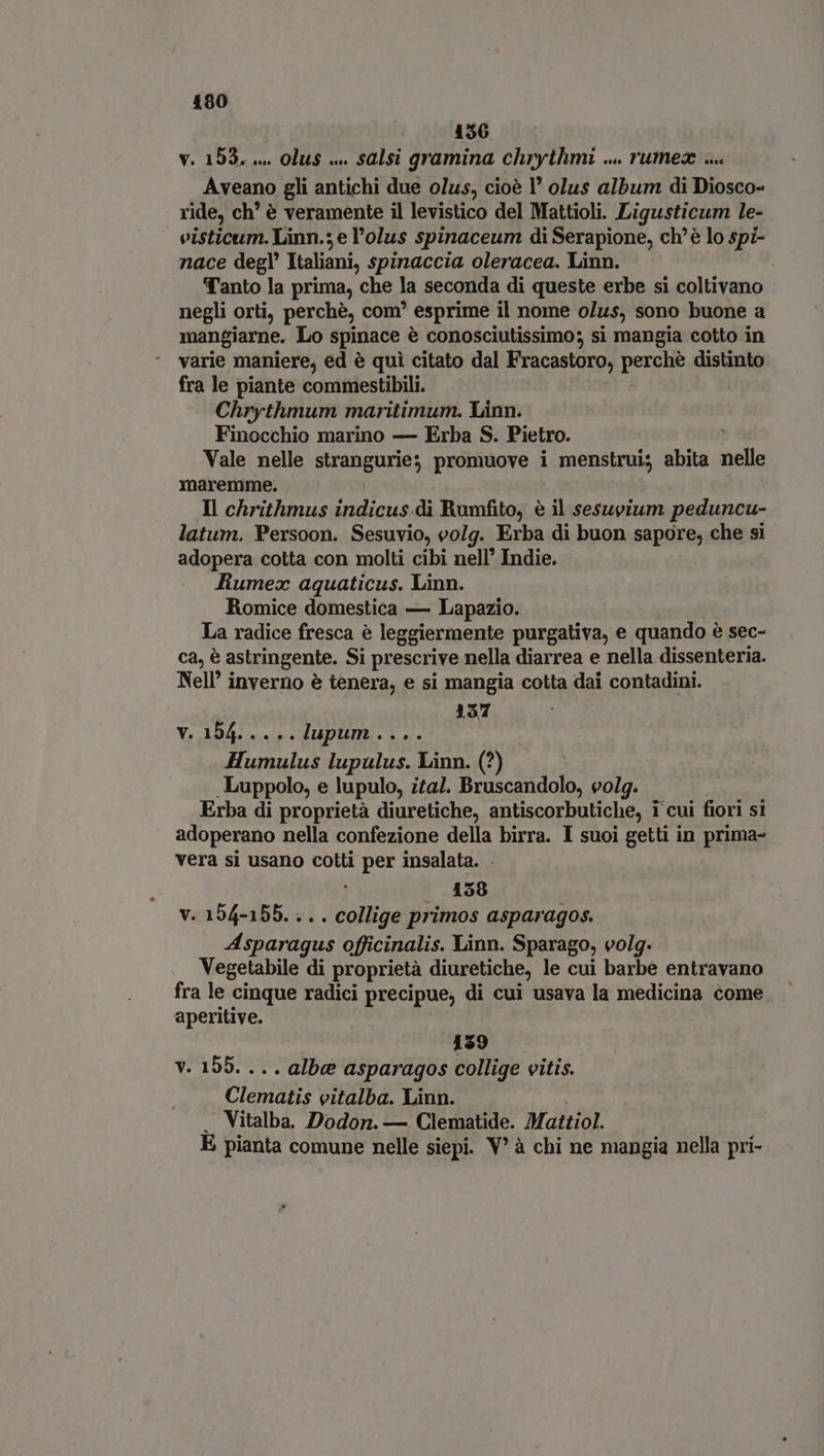 190 | 136 v. 153... olus ... salsi gramina chrythmi .. rumex .... Aveano gli antichi due olus, cioè Y' olus album di Diosco- ride, ch’ è veramente il levistico del Mattioli. Ligusticum le- eisticum. Linn.;e l’olus spinaceum di Serapione, ch’ è lo spi- nace degl’ Italiani, spinaccia oleracea. Linn. Tanto la prima, che la seconda di queste erbe si coltivano negli orti, perchè, com” esprime il nome o/us, sono buone a mangiarne. Lo spinace è conosciutissimo; si mangia cotto in varie maniere, ed è quì citato dal Fracastoro, porem distinto fra le piante commestibili. Chrythmum maritimum. Linn. Finocchio marino — Erba S. Pietro. Vale nelle strangurie; promuove i menstrui; abita alle maremme. Il chrithmus dec di Rumfito, è il sesupium peduncu- latum. Persoon. Sesuvio, volg. Erba di buon sapore, che si adopera cotta con molti cibi nell’ Indie. Rumex aquaticus. Linn. Romice domestica — Lapazio. La radice fresca è leggiermente purgativa, e quando è sec- ca, è astringente. Si prescrive nella diarrea e nella dissenteria. Nell’ inverno è tenera, e si mangia cotta dai contadini. 137 v. 154.....lupum.... Humulus lupulus. Linn. (?) Luppolo, e lupulo, ital. Bruscandolo, volg. Erba di proprietà diuretiche, antiscorbutiche, î 1 cui fiori si adoperano nella confezione della birra. I suoi getti in prima- vera si usano cotti per insalata. | i 158 v. 154-155. .. . collige primos asparagos. A sparagus officinalis. Linn. Sparago, volg. Vegetabile di proprietà diuretiche, le cui barbe entravano fra le cinque radici precipue, di cui usava la medicina come, aperitive. 139 v. 155. .. . albe asparagos collige vitis. Clematis vitalba. Linn. | . Vitalba. Dodon. — Clematide. Mattiol. E pianta comune nelle siepi. V' à chi ne mangia nella pri-