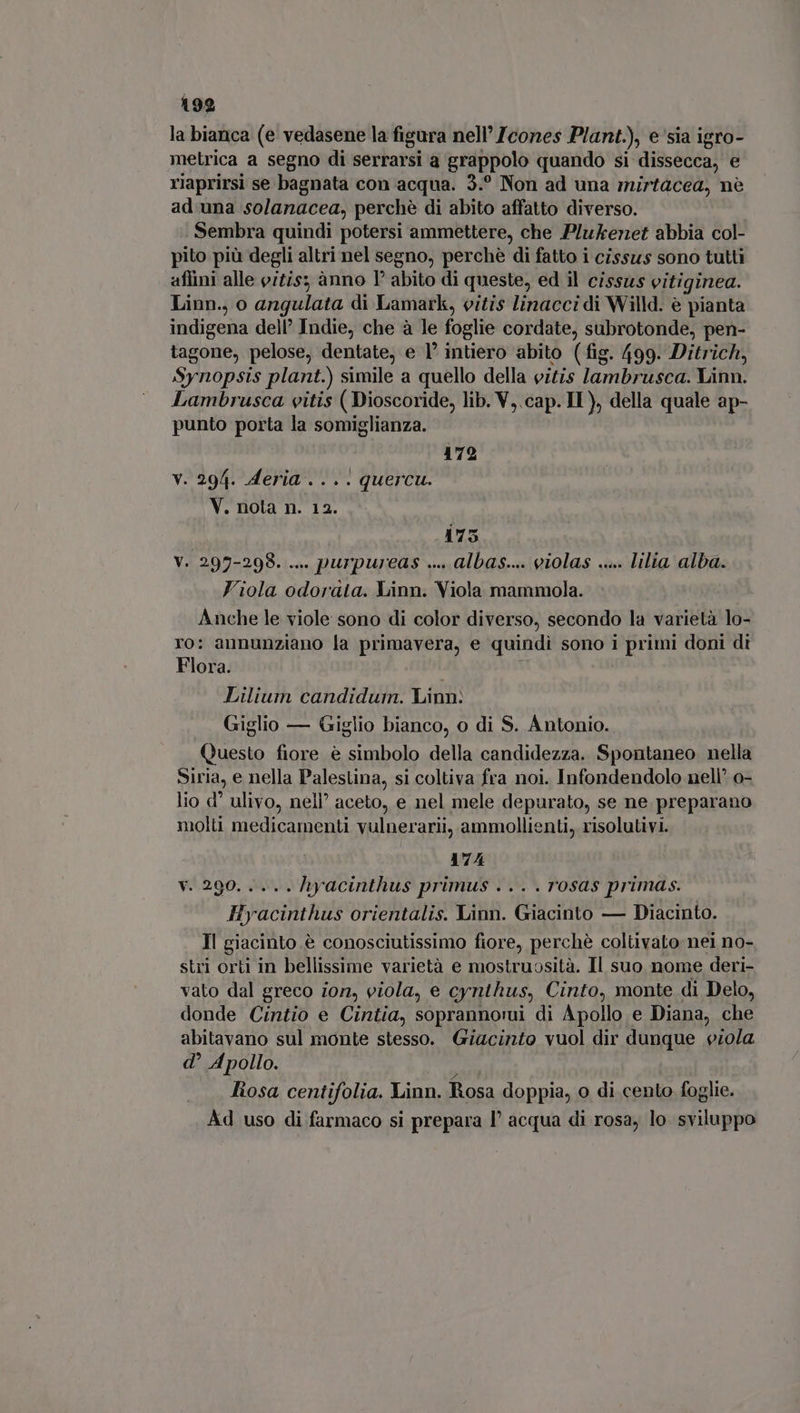 la bianca (e vedasene la figura nell’ /cones Plant.), e sia igro- metrica a segno di serrarsi a grappolo quando si dissecca, e riaprirsi se bagnata con acqua. 3.° Non ad una mirtacea, ne ad una solanacea, perchè di abito affatto diverso. Sembra quindi potersi ammettere, che Plukenet abbia col- pito più degli altri nel segno, perchè di fatto i cissus sono tutti aflini alle vitis; ànno P abito di queste, ed il cissus vitiginea. Linn., o angulata di Lamark, vitis linacci di Willd. è pianta indigena dell’ Indie, che à le foglie cordate, subrotonde, pen- tagone, pelose, dentate, e 1° intiero abito (fig. 499. Ditrich, Synopsis plant.) simile a quello della eitis lambrusca. Linn. Lambrusca vitis ( Dioscoride, lib. V,.cap. IT), della quale ap- punto porta la somiglianza. 179 v. 294. .deria .... quercu. V. nola n. 12. 175 V. 297-298. ... purpureas ... aAlbas.... violas .... lilia alba. Viola odorata. Linn. Viola mammola. Anche le viole sono di color diverso, secondo la varietà lo- ro: aununziano la primavera, e quindi sono i primi doni di Flora. Lilium candidum. Linn. Giglio — Giglio bianco, o di S. Ántonio. Questo fiore e simbolo della candidezza. Spontaneo nella Siria, e nella Palestina, si coltiva fra noi. Infondendolo nell’ o- lio d ulivo, nell’ aceto, e nel mele depurato, se ne preparano molti medicamenti vulnerarii, ammollienti, risolutivi. 174 $42.90. MUS hyacinthus primus .... rosas primas. Hyacinthus orientalis. Linn. Giacinto — Diacinto. Il giacinto è conosciutissimo fiore, perchè coltivato nei no- stri orti in bellissime varietà e mostruosità. Il suo nome deri- vato dal greco ion, viola, e cynthus, Cinto, monte di Delo, donde Cintio e Cintia, soprannomi di Apollo e Diana, che abitavano sul monte stesso. Giacinto vuol dir dunque viola d Apollo. liosa, centifolia. Linn. Rosa doppia, o di cento foglie. Ad uso di farmaco si prepara l acqua di rosa, lo sviluppo