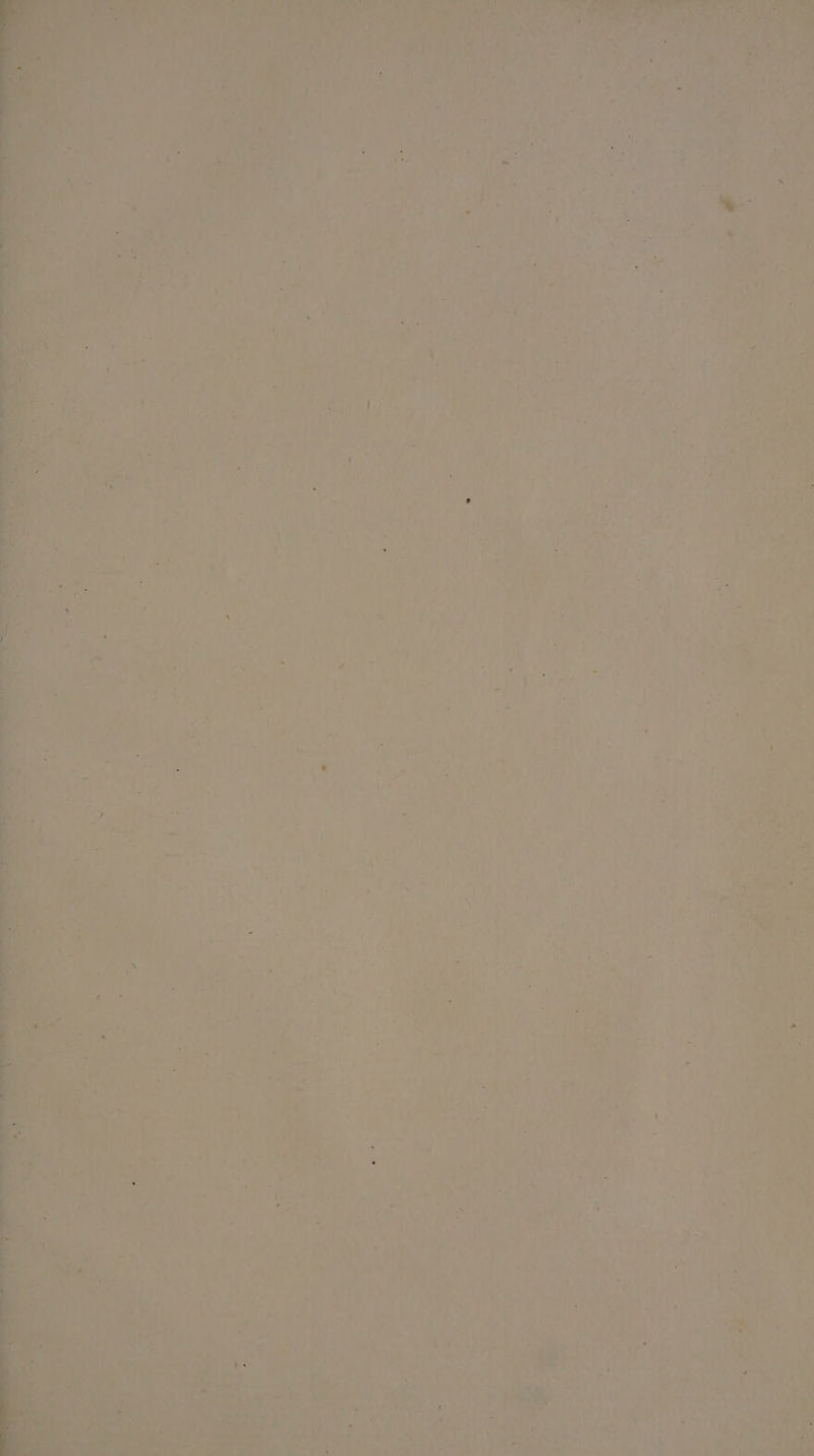 DM b NA ALII AAA Vom Nol?