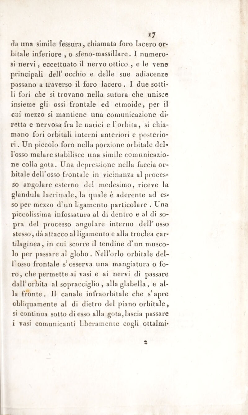 37 da una simile fessura, chiamata foro lacero or¬ bitale inferiore , o sfeno-massillare. I numero¬ si nervi, eccettuato il nervo ottico , e le vene principali dell’ occhio e delle sue adiacenze passano a traverso il foro lacero . I due sotti» li fori che si trovano nella sutura che unisce insieme gli ossi frontale ed etmoide, per il cui mezzo si mantiene una comunicazione di¬ retta e nervosa fra le narici e Forbita, si chia¬ mano fori orbitali interni anteriori e posterio¬ ri . Un piccolo foro nella porzione orbitale del* Fosso malare stabilisce una simile comunicazio¬ ne colla gota. Una depressione nella faccia or¬ bitale dell’osso frontale in vicinanza al proces¬ so angolare esterno del medesimo, riceve la gianduia lacrimale, la quale è aderente ad es¬ so per mezzo d’un ligamento particolare . Una piccolissima infossatura al di dentro e al di so¬ pra del processo angolare interno delF osso stesso, dà attacco al ligamento e alla trcclea car¬ tilaginea, in cui scorre il tendine d’un musco¬ lo per passare al globo. Nell’orlo orbitale del¬ l’osso frontale s’osserva una mangiatura o fo¬ ro, che permette ai vasi e ai nervi di passare dall’orbita al sopracciglio, alla glabella, e al¬ la fronte. 11 canale infraorbitale che s’apre obliquamente al di dietro del piano orbitale, si continua sotto di esso alla gota,lascia passare i vasi comunicanti liberamente cogli ottalmi* t