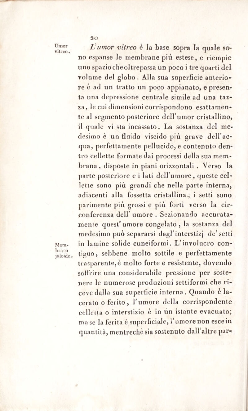 tJmor vitreo. Mem¬ brana jaloide. 20 IJ umor vitreo è la base sopra la quale so¬ no espanse le membrane piu estese, e riempie lino spazio cheoltrepassa un poco i tre quarti del volume del globo. Alla sua superficie anterio¬ re è ad un tratto un poco appianato, e presen¬ ta una depressione centrale simile ad una taz¬ za , le cui dimensioni corrispondono esattamen¬ te al segmento posteriore deil’umor cristallino, il quale vi sta incassato. La sostanza del me¬ desimo è un fluido viscido più grave dell’ac¬ qua, perfettamente pellucido, e contenuto den¬ tro cellette formate dai processi della sua mem¬ brana , disposte in piani orizzontali . Verso la parte posteriore e i lati delTumore, queste cel¬ lette sono più grandi che nella parte interna, adiacenti alla fossetta cristallina.; i setti sono parimente più grossi e più forti verso la cir¬ conferenza dell umore . Sezionando accurata¬ mente quest5 umore congelato , la sostanza dei medesimo può separarsi dagl5interstizj de’setti in lamine solide cuneiformi. L’involucro con¬ tiguo, sebbene molto sottile e perfettamente trasparente,è molto forte e resistente, dovendo soffrire una considerabile pressione per soste¬ nere le numerose produzioni setti formi che ri¬ ceve dalla sua superfìcie interna . Quando è la¬ ceralo o ferito , Fumore della corrispondente celletfa o interstizio è in un istante evacuato; ma se la ferita è superficiale, l’umore non escein quantità, mentrechè sia sostenuto dallaltre par- •a