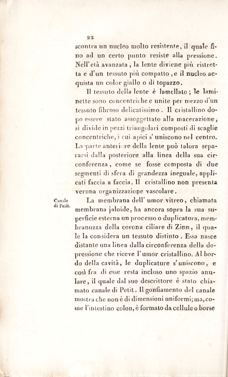 Canale di Pe;it. 22 scontra un nucleo molto resistente, il quale fi¬ no ad un certo punto resisLe alla pressione. Nell’età avanzata , la lente diviene più ristret¬ ta e d’un tessuto più compatto , e il nucleo ac¬ quista un color giallo o di topazzo. Il tessuto della lente è lamellato ; le lami- nette sono concentriche e unite per mezzo d’un tessuto fibroso delicatissimo. Il cristallino do¬ po essere stalo assoggettato alla macerazione j si divide in pezzi triangolari composti di scaglie concentriche, i cui apici s’ uniscono nel centro. La parte anteriore della lente può talora sepa¬ rarsi dalla posteriore alla linea della sua cir¬ conferenza , come se fosse composta di due segmenti di sfera di grandezza ineguale, appli¬ cati faccia a faccia. Il cristallino non presenta veruna organizzazione vascolare. La membrana dell’ umor vitreo, chiamata membrana jaloide, ha ancora sopra la sua su¬ perficie esterna nn processo o duplicatura, mcm* branuzza della corona ciliare di Zinn, il qua¬ le la considera nn tessuto distinto . E^sa nasce distante una linea dalla circonferenza della de¬ pressione che riceve l’umor cristallino. Al bor¬ do della cavità, le duplicature s’uniscono, e cosi fra di esse resta incluso uno spazio anu¬ lare, il quale dal suo descrittore è stalo chia¬ mato canale di Petit. Il gon (lamento del canale mostra che non è di dimensioni uniformi; ma,co¬ me rimestino colon, è formato da cellule o borse
