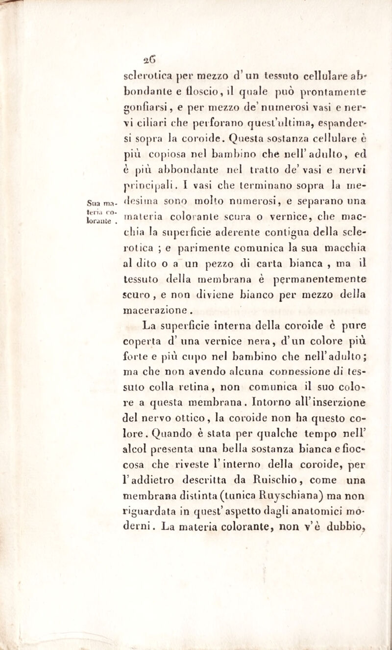 Sua ma¬ teria co¬ lorante . sclerotica per mezzo d’un tessuto cellulare ab¬ bondante e floscio, il quale può prontamente gonfiarsi, e per mezzo de’numerosi vasi e ner¬ vi ciliari che perforano quest’ultima, espander¬ si sopra la coroide. Questa sostanza cellulare è più copiosa nel bambino che nell’adulto, ed è più abbondante nel tratto de’ vasi e nervi principali. I vasi che terminano sopra la me¬ desima sono molto numerosi, e separano una materia colorante scura o vernice, che mac¬ chia la supeifìcie aderente contigua della scle¬ rotica ; e parimente comunica la sua macchia al dito o a un pezzo di carta bianca , ma il tessuto della membrana è permanentemente scuro, e non diviene bianco per mezzo della macerazione . La superficie interna della coroide è pure coperta d’una vernice nera, d’un colore più forte e più cupo nel bambino che nell’adulto; ma che non avendo alcuna connessione di tes¬ suto colla retina, non comunica il suo colo¬ re a questa membrana. Intorno all’inserzione del nervo ottico, la coroide non ha questo co¬ lore. Quando è stata per qualche tempo nell alcol presenta una bella sostanza bianca e fioc¬ cosa che riveste l’interno della coroide, per l’addietro descritta da Rifischio, come una membrana distinta (tunica Ruyschiana) ma non riguardata in quest’aspetto dagli anatomici mo¬ derni. La materia colorante, non v e dubbio, i