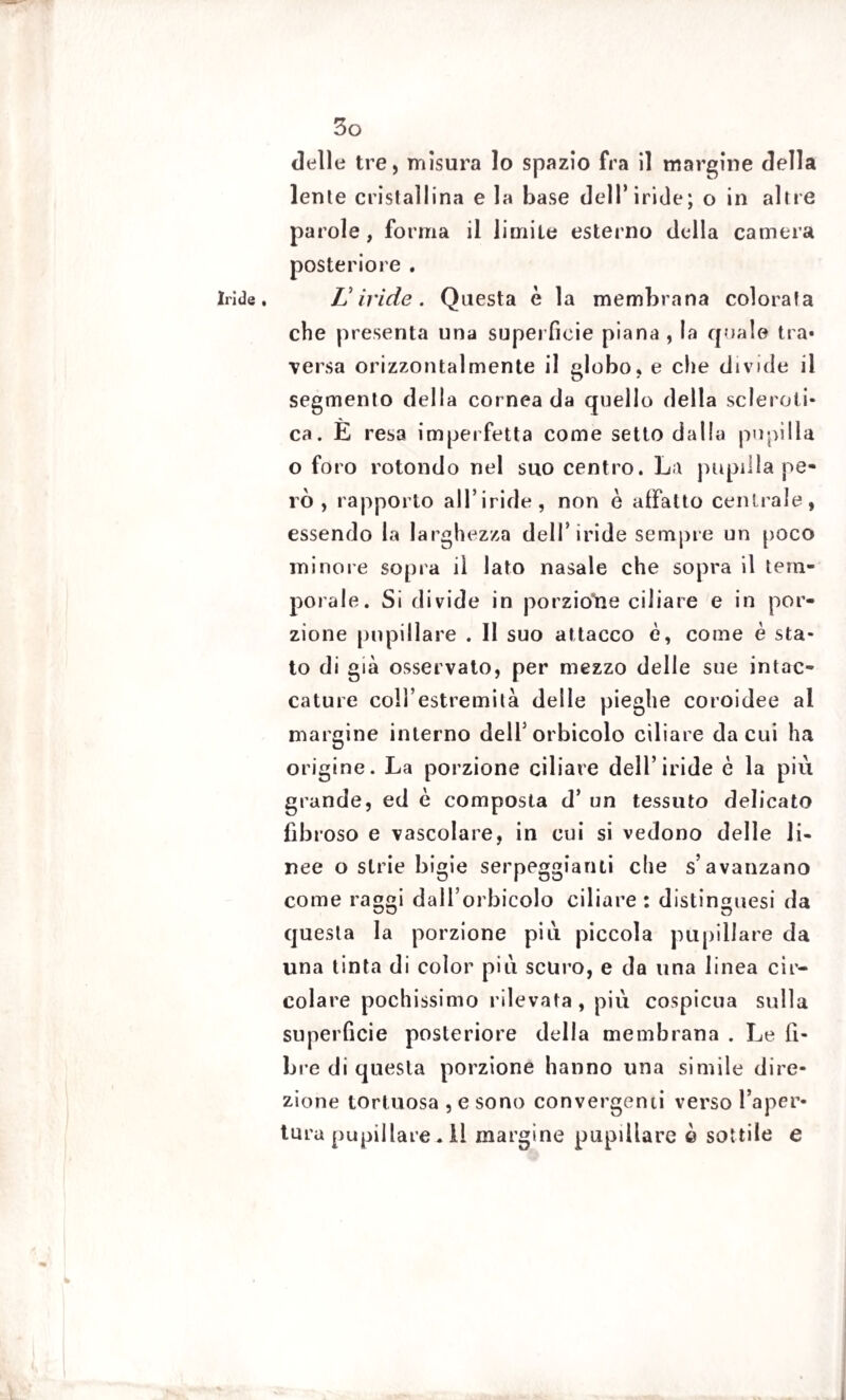 Iride , delle tre, misura lo spazio fra il margine della lente cristallina e la base dell* iride; o in altre parole, forma il limile esterno della camera posteriore . Livide. Questa è la membrana colorata che presenta una superficie piana , la quale tra¬ versa orizzontalmente il globo, e che divide il segmento della cornea da quello della scleroti¬ ca. È resa imperfetta come setto dalla pupilla o foro rotondo nel suo centro. La pupilla pe¬ rò , rapporto all’iride, non è affatto centrale, essendo la larghezza dell’iride sempre un poco minore sopra il lato nasale che sopra il tem¬ porale. Si divide in porzione ciliare e in por¬ zione pupillare . Il suo attacco è, come è sta¬ to di già osservato, per mezzo delle sue intac¬ cature coll’estremità delle pieghe coroidee al margine interno dell5 orbicolo ciliare da cui ha origine. La porzione ciliare dell’iride è la più grande, ed è composta d’ un tessuto delicato fibroso e vascolare, in cui si vedono delle li¬ nee o strie bigie serpeggianti die s’avanzano come raggi dall’orbicolo ciliare: distinguesi da questa la porzione più piccola pupillare da una tinta di color più scuro, e da una linea cir¬ colare pochissimo rilevata, più cospicua sulla superficie posteriore della membrana . Le fi¬ bre di questa porzione hanno una simile dire¬ zione tortuosa , e sono convergenti verso l’aper¬ tura pupillare^Il margine pupillare è sottile e