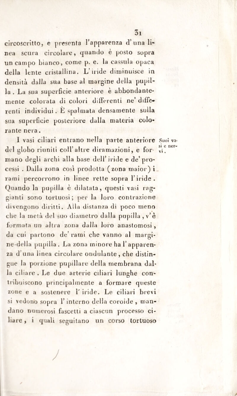 circoscritto, e presenta l’apparenza d’ una li¬ nea scura circolare, quando è posto sopra un campo bianco, come p. e. la cassida opaca della lente cristallina. L'iride diminuisce in densità dalla sua base al margine della pupil¬ la . La sua superficie anteriore è abbondante¬ mente colorata di colori differenti ne’ diffe¬ renti individui. È spalmata densamente suda sua superficie posteriore dalla materia colo¬ rante nera. I vasi ciliari entrano nella parte anteriore Suoi va- del globo riuniti colf altre diramazioni, e for- vi! ^ mano degli archi alla base dell’iride e de’pro¬ cessi . Dalla zona così prodotta (zona maior) i rami percorrono in linee rette sopra l’iride. Quando la pupilla è dilatata, questi vasi rag¬ gianti sono tortuosi ; per la loro contrazione divengono diritti. Ada distanza di poco meno che la metà del suo diametro dalla pupilla , v’è formata un altra zona da Ila lo ro anastomosi, da cui partono de’ rami che vanno al margi¬ ne-delia pupilla. La zona minore ha f apparen¬ za d una linea circolare ondulante, che distin¬ gue la porzione pupillare della membrana dal¬ la ciliare . Le due arterie ciliari lunghe con¬ tribuiscono principalmente a formare queste zone e a sostenere f iride. Le ci 1 iari brevi si vedono sopra f interno della coroide , man¬ dano numerosi fascetti a ciascun processo ci¬