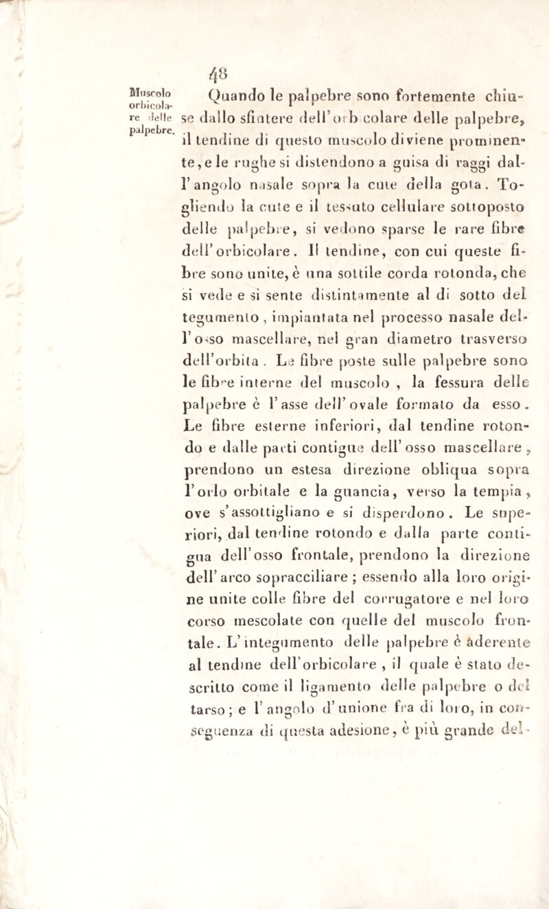 Muscolo orbicola- re delle palpebre. 48 Quando le palpebre sono fortemente chiu¬ se dallo sfintere dell orb colare delle palpebre, il tendine di questo muscolo di viene prominen¬ te, e le rughe si distendono a guisa di raggi dal¬ l’angolo nasale sopra la cute della gota. To¬ gliendo la cute e il tessuto cellulare sottoposto delle palpebre, si vedono sparse le rare fibre dell’orbicolare. Il lendine, concui queste fi¬ bre sono unite, è una sottile corda rotonda, che si vede e si sente distintamente al di sotto del tegumento , impiantata nel processo nasale deb l’orso mascellare, nel gran diametro trasverso dell’orbita . Le fibre poste sulle palpebre sono le fib^e interne del muscolo , la fessura delle palpebre è l’asse dell’ovale formato da esso. Le fibre esterne inferiori, dal tendine roton¬ do e dalle parti contigue dell’osso mascellare ? prendono un estesa direzione obliqua sopra Torlo orbitale e la guancia, verso la tempia, ove s’assottigliano e si disperdono. Le supe¬ riori, dal tendine rotondo e dalia parte conti¬ gua dell’osso frontale, prendono la direzione dell’arco sopracciliare ; essendo alla loro origi¬ ne unite colie fibre del corrugatore e nel loro corso mescolate con quelle del muscolo fron¬ tale. L’integumento delle palpebre ò. aderente al tendine dell'orbicolare , il quale è stato de¬ scritto come il ligamento delle palpebre o del tarso: e T angolo d’unione fra di loro, in coir- seguenza di questa adesione, è più grande del-