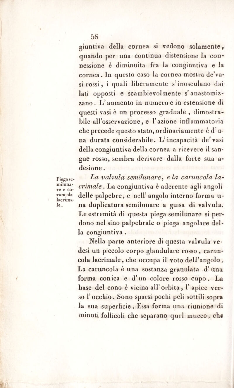 Piegase- miluna- re e ca¬ runcola lacrima¬ le. 56 giuntiva della cornea si vedono solamente, quando per una continua distensione la con¬ nessione è diminuita fra la congiuntiva e la cornea. In questo caso la cornea mostra de’va- si rossi , i quali liberamente s’inosculano dai lati opposti e scambievolmente s’anastomiz- zano. L’aumento in numero e in estensione di questi vasi è un processo graduale , dimostra* bile all’osservazione, e l’azione infiammatoria che precede questo stato, ordinariamente è d’u- na durata considerabile. L’incapacità de’vasi della congiuntiva della cornea a ricevere il san* gue rosso, sembra derivare dalla forte sua a- desione. La valvula semilunare, e la caruncola la• crimale. La congiuntiva c aderente agli angoli delle palpebre, e nell’angolo interno forma u* na duplicatura semilunare a guisa di valvula. Le estremità di questa piega semilunare si per¬ dono nel sino palpebrale o piega angolare del¬ la congiuntiva . Nella parte anteriore di questa valvula ve- desi un piccolo corpo glandulare rosso , carun¬ cola lacrimale, che occupa il voto dell’angolo. La caruncola è una sostanza granulata d’ una forma conica e d’un colore rosso cupo. La base del cono è vicina all’orbita, 1 apice ver¬ so l’occhio. Sono sparsi pochi peli sottili sopra la sua superfìcie. Essa forma una riunione di minuti follicoli che separano quel mucco, ch«