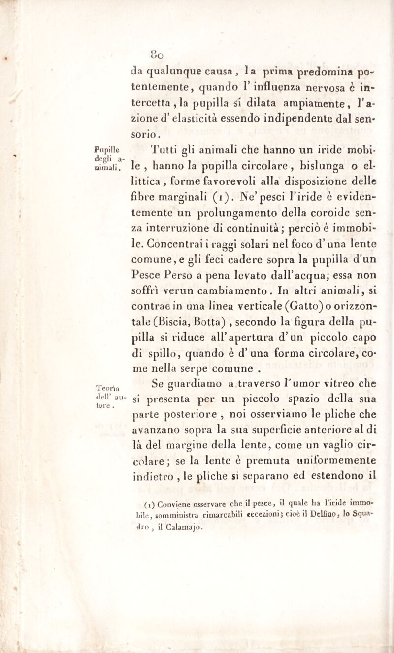 Pupille degli a- xjimali, Teorìa dell’ au tore . da qualunque causa > la prima predomina pò» tentemente, quando 1’ influenza nervosa è in¬ tercetta, la pupilla Si dilata ampiamente, l’a¬ zione d’elasticità essendo indipendente dal sen¬ sorio . Tutti gli animali che hanno un iride mobi¬ le , hanno la pupilla circolare , bislunga o el¬ littica, forme favorevoli alla disposizione delle fibre marginali (i). Ne’pesci l’iride è eviden¬ temente un prolungamento della coroide sen¬ za interruzione di continuità; perciò è immobi¬ le. Concentrai i raggi solari nel foco d’ una lente comune, e gli feci cadere sopra la pupilla d’un Pesce Perso a pena levato dall’acqua; essa non soffrì verun cambiamento. In altri animali, si contrae in una linea verticale (Gatto) o orizzon¬ tale (Biscia, Botta) , secondo la figura della pu¬ pilla si riduce all’apertura d’un piccolo capo di spillo, quando è d’una forma circolare, co¬ me nella serpe comune . Se guardiamo a traverso f umor vitreo che si presenta per un piccolo spazio della sua parte posteriore , noi osserviamo le pliche che avanzano sopra la sua superfìcie anteriore al di là del margine della lente, come un vaglio cir¬ colare ; se la lente è premuta uniformemente indietro , le pliche si separano ed estendono il (1) Conviene osservare che il pesce, il quale ha l’iride immo¬ bile, somministra rimarcabili eccezioni; cioè il Delfino, lo Squa¬ dro , il Calainajo.