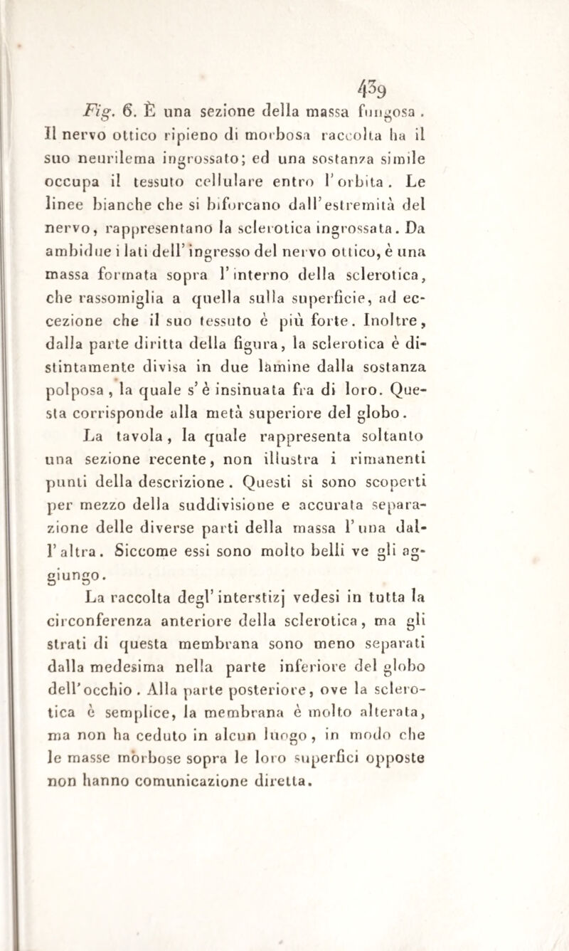 4^9 Fig. 6. È una sezione della massa fungosa . Il nervo ottico ripieno di morbosa raccolta ha il suo neurilema ingrossato; ed una sostanza simile occupa il tessuto cellulare entro Y orbita. Le linee bianche che si biforcano dall’estremità del nervo, rappresentano la sclerotica ingrossata. Da ambulile i lati dell’ ingresso del nervo ottico, è una massa formata sopra l’interno della sclerotica, che rassomiglia a quella sulla superficie, ad ec¬ cezione che il suo tessuto è più forte. Inoltre, dalla parte diritta della figura, la sclerotica è di¬ stintamente divisa in due lamine dalla sostanza polposa , la quale s’ è insinuata fra di loro. Que¬ sta corrisponde alla metà superiore del globo. La tavola, la quale rappresenta soltanto una sezione recente, non illustra i rimanenti punti della descrizione . Questi si sono scoperti per mezzo della suddivisione e accurata separa¬ zione delle diverse parti della massa l una dal¬ l’altra. Siccome essi sono molto belli ve gli ag- giungo. La raccolta degl’ interstizj vedesi in tutta la circonferenza anteriore della sclerotica, ma gli strati di questa membrana sono meno separati dalla medesima nella parte inferiore del globo dell’occhio. Alla parte posteriore, ove la sclero¬ tica è semplice, la membrana è molto alterata, ma non ha ceduto in alcun lungo, in modo che le masse morbose sopra le loro superfìci opposte non hanno comunicazione diretta.