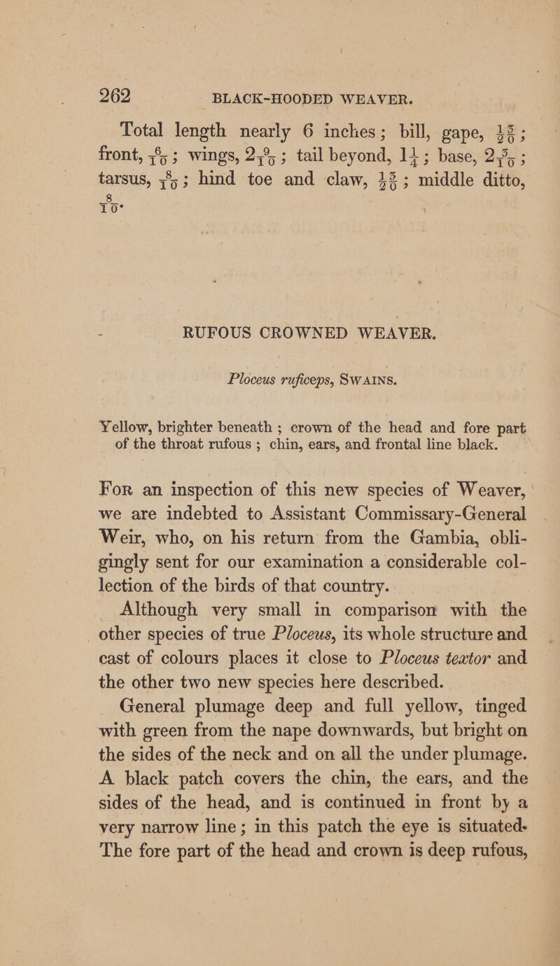 Total length nearly 6 inches; bill, gape, 13; front, 7°; ; wings, 2;°%; tail beyond, 11; base, 2,5, ; tarsus, ;8;; hind toe and claw, 42; middle ditto, aes 10° RUFOUS CROWNED WEAVER. Ploceus ruficeps, SwaIns. Yellow, brighter beneath ; crown of the head and fore part of the throat rufous ; chin, ears, and frontal line black. For an inspection of this new species of Weaver, | we are indebted to Assistant Commissary-General Weir, who, on his return from the Gambia, obli- gingly sent for our examination a considerable col- lection of the birds of that country. Although very small in comparison with the other species of true Ploceus, its whole structure and cast of colours places it close to Ploceus textor and the other two new species here described. General plumage deep and full yellow, tinged with green from the nape downwards, but bright on the sides of the neck and on all the under plumage. A black patch covers the chin, the ears, and the sides of the head, and is continued in front by a very narrow line; in this patch the eye is situated. The fore part of the head and crown is deep rufous,