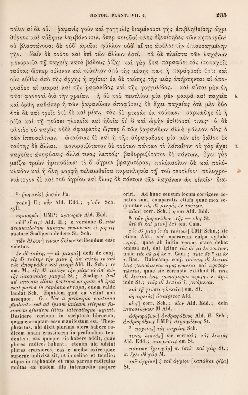 φασί γάρ καί του ήρος καί του χειμώνος εις ορος άφιέναι, νεμέσθαι δέ τοΰτό τε και ετερον δμοιον άβροτόνφ* θερμαντικά δ5 άμφω δοκεί είναι καί κάθαρσιν μέν ου ποιείν άναξηραίνειν δε καί συμπέττειν εάν δέ τι νοσουν ή κακώς εχον είςέλθη προβατον υγιάζεσθαι ταχέως ή άποθνήσκειν, ώς δ’ επί τδ πολύ σώ- ζεσθαι μάλλον, ταυτα μεν όποτερως εχει σκεπτέον. ή δέ καλούμενη μα- γύδαρις ετερον έστι του σιλφίου μανύτερον τε καί ήττον δριμυ καί τον δπδν ουκ έ'χει* διάδηλος δε έστι καί τη δψει τοίς έμπείροις. γίνεται ,δέ περί Συρίαν καί ουκ έν Κυρήνη* φασί δέ καί εν τφ Παρνασίω δρει πολλήν* ενιοι δέ σίλ- φιον τούτο καλουσιν. εί δέ φεύγει την εργάσιμον ώςπερ τδ σίλφιον σκεπτεον, ώςαύτως δέ καί εί τι δμοιον ή παραπλήσιον έ'χει φύλλου τε πέρι καί καυλού, καί εί δλως άφίησί τι δάκρυον. την μέν ουν ναρθηκώδη καί δλως την ακαν¬ θώδη φύσιν έν τοίς τοιούτοις θεωρητέον. Cap.IV. Τής δ’ άκανθικής, επόμενόν γάρ τούτο είπείν, έπειδή διήρηται τδ μέν ακανθώδες δλως τδ δέ φυλλάκανθον, υπέρ εκατέρου χώρις λεκτέον, καί τρίτου δή περί τού καί παρά την άκανθαν εχοντος φύλλον ώςπερ δ τε φέως καί ό τρφολος. καί ή κάππαρις ίδιον έ'χει τδ μή μονον την εκ τών καυλών άκαν¬ θαν εχειν αλλά καί τδ φύλλον έπακανθίζον. τών δέ διηρημένων ειδών πλεί- στον μέν έστι τδ φυλλάκανθον έλάχιστον δέ ώς είπείν τδ ακανθώδες δλως. βραχύ γάρ τι πάμπαν έστίν ώςπερ έλέχθη καί σχεδδν ού ρφδιον λαβείν παρά τε τδν άσφάραγον καί τδν σκορπίον. άμφοτερα δέ ταύτα ανθεί μετά ισημε¬ ρίαν φθινοπωρινήν, ό μέν σκόρπιός έν τω σαρκώδει τω έποιδούντι τφ ύπδ τδ άκρον τής άκάνθης έχων τδ άνθος ές αρχής μέν λευκδν ύ'στερον δ’ έπιπορφυ- φνλλον hoc loco rion est το καλονμενον ψύλ¬ λον i. e. silphii semen, sed significatione communi folium, ut sequentia ostendunt. θερμαντικά] Sch.; θερμαντικό) Aid. Edd. ; θερμαντικόν M. ΰνμπέττειν] σνμπέτειν Aid. sola. di τι νοσούν η κ.] di τινος ονν η κ. Μ ι et, omisso etiam η, Μ*. Neque Aid. di¬ stincte scripta hahet. 7· μανότερον] Ps Aid. Sch.; μανώτερον II. S t. oxpH τοίς εμπείροις] St. Sch.; d. καί τοίς έμπνροις Aid.; d κ. τ. έμπείροις Η. For¬ tasse fuit οψει ηύη τοίς εμπεΐροις. σίλφιον τούτο] Sch. mavult σίλφ. καί το ντο. την έργάσιμον] γην έργαζομένην Sl. καί ολως την axav&atdrj] USch.syll.; om. cett. φέως] St.; ψλεώς Aid.; flens G.; ψεώς Sch. Vide c. 1, 3. G. ώςπερ non expressit. καί η κάππαρις] Aid. Edd.; η di κ. cum Dalec. Sch.; capparisque G. άσψάραγον] U Sch.; άσπάραγον Aid. H. St. Alteram formam, quam atticoruui scri¬ ptorum propriam fuisse tradunt Suidas et Galenus Simpl. med. 1. 10 ubique in Theo¬ phrasto scribendam esse recte praecepit Schneider, cum plurimis locis libri scripti nec non Aldina eam exhibeant. Cf. Phry- nich. liekk. Anecd. p. 24. At*. χρη°· gvv- ay. ibid. p. 457. *· ο μέν σκ.] U St. Sch.syll.; 6 μέν γάρ σκ. Aid. H. et secluso γάρ Sch.cont. έπoidovvu] cum Seal. Sch.; inxdovvri U; tonodovvTi M Aid.; έξοκϊονντι H. St.; in came extuberante G. ) τω νπό] U Sch.syll.; το υπό Aid. H.; υπό omisso το M St. Sch.cont. Gap. IV. τρίτον drf\ UMP; τρίτου di Aid. H. Sch.; τρίτον de St. το άκρον] e correctione Scaligeri H. Sch. et Sl. verbis της άκάνθης omissis; sub ex¬ tremo aculei G.; το άκρατον UM Aid. εχων] U Sch.; εχον Aid. H. St.