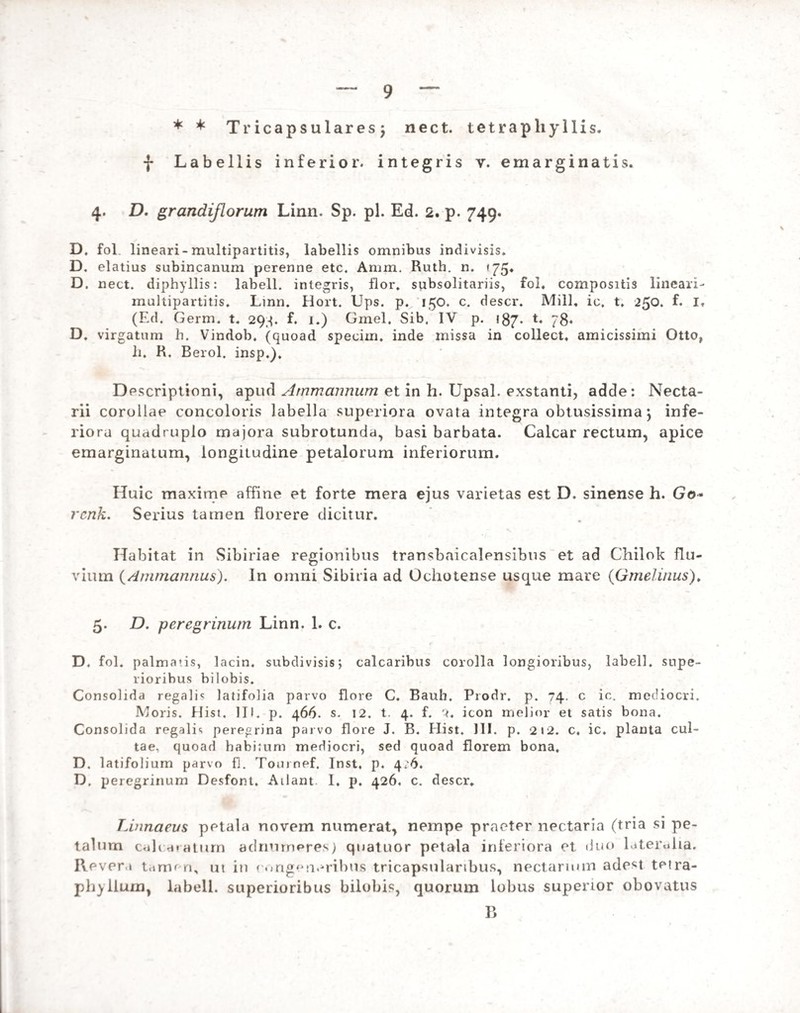 * * Tricapsularesj nect. tetrapliyllis. f Labellis inferior- integris v. emarginatis. 4. D. grandiflorum Linn. Sp. pl. Ed. 2. p. 749. D, fol lineari-multipartitis, labellis omnibus indivisis. D. elatius subincanum perenne etc. Amm. Ruth. n. »75. D, nect. diphyllis: labell. integris, flor, subsolitariis, fol. compositis lineari- multipartitis. Linn. Hort, Ups. p. 150. c. descr. Mill, ic. t, 250. f. I. (Ed. Germ. t. 29-p f. 1.) Gmel, Sib. IV p. 187. t. 78« D. virgatum h. Vindob. (quoad speciin. inde missa in collect. amicissimi Otto, h. R. Berol. insp.). Descriptioni, apud Atnmannum et in h. Upsal. exstanti, adde: Necta- rii corollae concoloris labella superiora ovata integra obtusissima \ infe¬ riora quadruplo majora subrotunda, basi barbata. Calcar rectum, apice emarginatum, longitudine petalorum inferiorum. Huic maxime affine et forte mera ejus varietas est D. sinense h. Go~ rcnk. Serius tamen florere dicitur. Habitat in Sibiriae regionibus transbaicalensibus et ad Chilok flu¬ vium (Ammannus). In omni Sibiria ad Ochotense usque mare (Gmelinus). 5. D. peregrinum Linn. 1. c. D. fol. palmatis, lacin. subdivisis; calcaribus corolla longioribus, labell. supe¬ rioribus bilobis. Consolida regalis latifolia parvo flore C. Bauli. Prodr. p. 74. c ic. mediocri. Moris. Hist, III. p. 466. s. 12. t. 4. f. Q. icon melior et satis bona. Consolida regalis peregrina parvo flore J. B. Hist. III. p. 212. c, ic. planta cul¬ tae. quoad habitum mediocri, sed quoad florem bona, D, latifolium parvo fl. Tournef. Inst, p, 4/6. D. peregrinum Desfont. Ailant I. p. 426, c. descr. Linnaeus petala novem numerat, nempe praeter nectaria (tria si pe¬ talum calca ratum adnurneres) qnatuor petala inferiora et duo lateralia. Revera tamen, ut in congeneribus tricapsularibus, nectaruun adest teira- phylium, labell. superioribus bilobis, quorum lobus superior obovatus