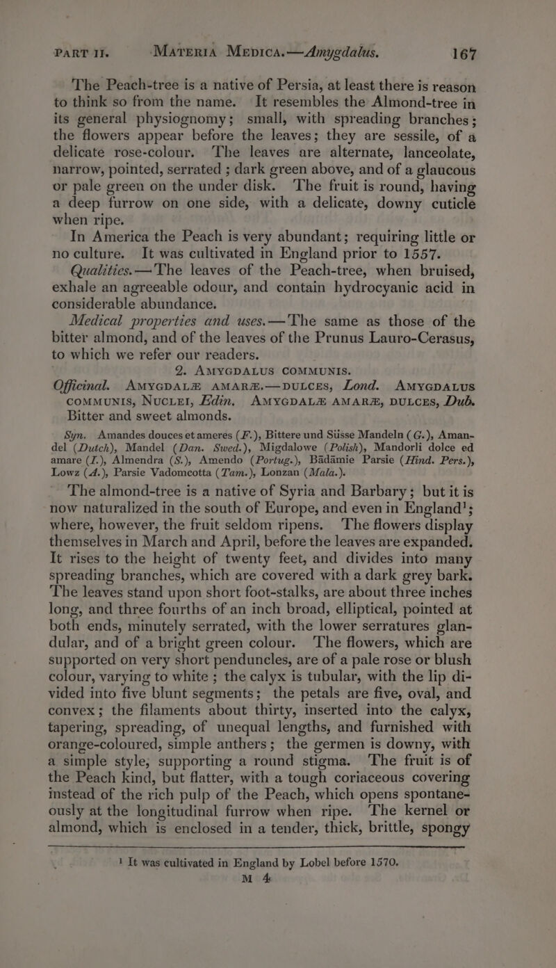 The Peach-tree is a native of Persia, at least there is reason to think so from the name. It resembles the Almond-tree in its general physiognomy; small, with spreading branches; the flowers appear before the leaves; they are sessile, of a delicate rose-colour. The leaves are alternate, lanceolate, narrow, pointed, serrated ; dark green above, and of a glaucous or pale green on the under disk. ‘The fruit is round, having a deep furrow on one side, with a delicate, downy cuticle when ripe. In America the Peach is very abundant; requiring little or no culture. It was cultivated in England prior to 1557. Qualities. — The leaves of the Peach-tree, when bruised, exhale an agreeable odour, and contain hydrocyanic acid in considerable abundance. Medical properties and uses.—'The same as those of the bitter almond, and of the leaves of the Prunus Lauro-Cerasus, to which we refer our readers. 2. AMYGDALUS COMMUNIS. Officinal. AMYGDALE AMAR#.—DULCES, Lond. AMYGDALUS coMMuNIS, Nucue!, Adin. AMYGDALEH AMAR, DULCES, Dud. Bitter and sweet almonds. Syn. Amandes douces et ameres (F.), Bittere und Stisse Mandeln ( G.), Aman- del (Dutch), Mandel (Dan. Swed.), Migdalowe (Polish), Mandorli dolce ed amare (J.), Almendra (S.), Amendo (Portug.), Badamie Parsie (Hind. Pers.), Lowz (4.), Parsie Vadomcotta (Tam.), Lonzan (Mala.). The almond-tree is a native of Syria and Barbary; but it is now naturalized in the south of Kurope, and even in England’; where, however, the fruit seldom ripens. The flowers display themselves in March and April, before the leaves are expanded. It rises to the height of twenty feet, and divides into many spreading branches, which are covered with a dark grey bark. The leaves stand upon short foot-stalks, are about three inches long, and three fourths of an inch broad, elliptical, pointed at both ends, minutely serrated, with the lower serratures glan- dular, and of a bright green colour. ‘The flowers, which are supported on very short penduneles, are of a pale rose or blush colour, varying to white ; the calyx is tubular, with the lip di- vided into five blunt segments; the petals are five, oval, and convex; the filaments about thirty, inserted into the calyx, tapering, spreading, of unequal lengths, and furnished with orange-coloured, simple anthers; the germen is downy, with a simple style, supporting a round stigma. The fruit is of the Peach kind, but flatter, with a tough coriaceous covering instead of the rich pulp of the Peach, which opens spontane- ously at the longitudinal furrow when ripe. ‘The kernel or almond, which is enclosed in a tender, thick, brittle, spongy 1 It was cultivated in England by Lobel before 1570, M 4
