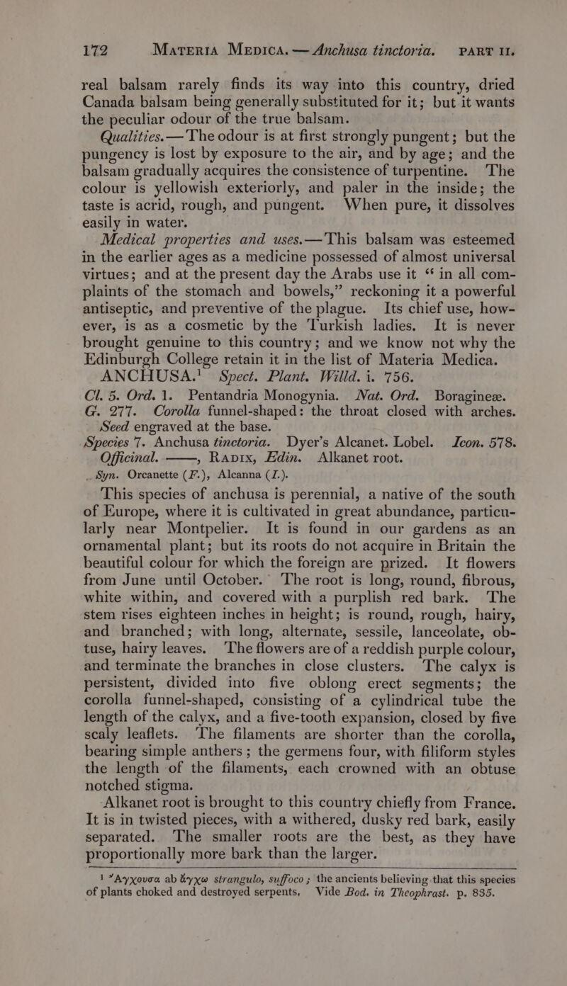 real balsam rarely finds its way into this country, dried Canada balsam being generally substituted for it; but it wants the peculiar odour of the true balsam. Qualities. —The odour is at first strongly pungent; but the pungency is lost by exposure to the air, and by age; and the balsam gradually acquires the consistence of turpentine. The colour is yellowish exteriorly, and paler in the inside; the taste is acrid, rough, and pungent. When pure, it dissolves easily in water. | Medical properties and uses.—'This balsam was esteemed in the earlier ages as a medicine possessed of almost universal virtues; and at the present day the Arabs use it “ in all com- plaints of the stomach and bowels,” reckoning it a powerful antiseptic, and preventive of the plague. Its chief use, how- ever, is as a cosmetic by the Turkish ladies. It is never brought genuine to this country; and we know not why the Edinburgh College retain it in the list of Materia Medica. ANCHUSA.' Spect. Plant. Willd. i. 756. Cl. 5. Ord. 1. Pentandria Monogynia. Nat. Ord. Boraginez. G. 277. Corolla funnel-shaped: the throat closed with arches. Seed engraved at the base. Species '7. Anchusa tinctoria. Dyer’s Alcanet. Lobel. con. 578. Officinal. , Rapix, Adin. Alkanet root. _ Syn. Orcanette (F.), Alcanna (J.). This species of anchusa is perennial, a native of the south of Europe, where it is cultivated in great abundance, particu- larly near Montpelier. It is found in our gardens as an ornamental plant; but its roots do not acquire in Britain the beautiful colour for which the foreign are prized. It flowers from June until October. The root is long, round, fibrous, white within, and covered with a purplish red bark. The stem rises eighteen inches in height; is round, rough, hairy, and branched; with long, alternate, sessile, lanceolate, ob- tuse, hairy leaves. ‘The flowers are of a reddish purple colour, and terminate the branches in close clusters. The calyx is persistent, divided into five oblong erect segments; the corolla funnel-shaped, consisting of a cylindrical tube the length of the calyx, and a five-tooth expansion, closed by five scaly leaflets. ‘The filaments are shorter than the corolla, bearing simple anthers ; the germens four, with filiform styles the length of the filaments, each crowned with an obtuse notched stigma. Alkanet root is brought to this country chiefly from France. It is in twisted pieces, with a withered, dusky red bark, easily separated. ‘The smaller roots are the best, as they have proportionally more bark than the larger. 1 *Ayxovoa ab &amp;yxw strangulo, suffoco; the ancients believing that this species of plants choked and destroyed serpents, Vide Bod. in Theophrast. p. 835.