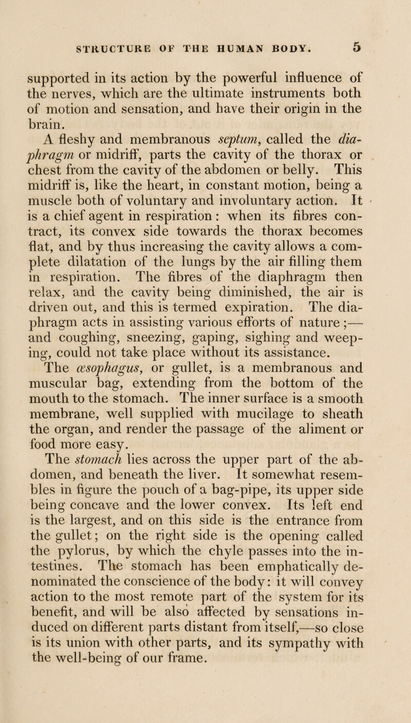 supported in its action by the powerful influence of the nerves, which are the ultimate instruments both of motion and sensation, and have their origin in the brain. A fleshy and membranous septum, called the dia¬ phragm or midriff, parts the cavity of the thorax or chest from the cavity of the abdomen or belly. This midriff is, like the heart, in constant motion, being a muscle both of voluntary and involuntary action. It ' is a chief agent in respiration : when its fibres con¬ tract, its convex side towards the thorax becomes flat, and by thus increasing the cavity allows a com¬ plete dilatation of the lungs by the air filling them in respiration. The fibres of the diaphragm then relax, and the cavity being diminished, the air is driven out, and this is termed expiration. The dia¬ phragm acts in assisting various efforts of nature;— and coughing, sneezing, gaping, sighing and weep¬ ing, could not take place without its assistance. The oesophagus, or gullet, is a membranous and muscular bag, extending from the bottom of the mouth to the stomach. The inner surface is a smooth membrane, well supplied with mucilage to sheath the organ, and render the passage of the aliment or food more easy. The stomach lies across the upper part of the ab¬ domen, and beneath the liver. It somewhat resem¬ bles in figure the pouch of a bag-pipe, its upper side being concave and the lower convex. Its left end is the largest, and on this side is the entrance from the gullet; on the right side is the opening called the pylorus, by which the chyle passes into the in¬ testines. The stomach has been emphatically de¬ nominated the conscience of the body: it will convey action to the most remote part of the system for its benefit, and will be also affected by sensations in¬ duced on different parts distant from itself,—so close is its union with other parts, and its sympathy with the well-being of our frame.