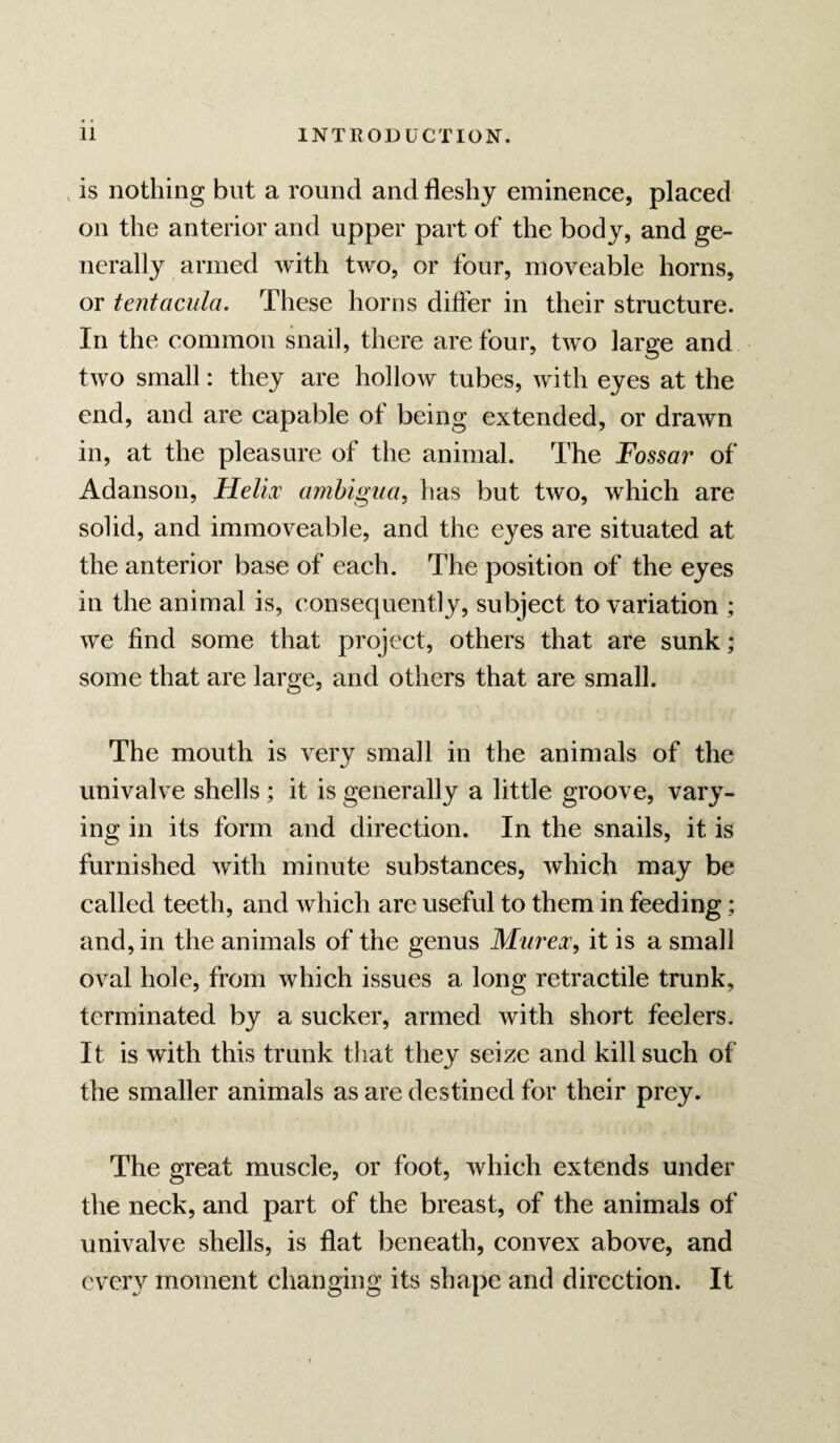 . is nothing but a round and fleshy eminence, placed on the anterior and upper part of the body, and ge¬ nerally armed with two, or four, moveable horns, or tentaciila. These horns differ in their structure. In the common snail, there are four, two large and two small: they are hollow tubes, with eyes at the end, and are capable of being extended, or drawn in, at the pleasure of the animal. The Fossar of Adanson, Helix ambigiia, has but two, which are solid, and immoveable, and the eyes are situated at the anterior base of each. The position of the eyes in the animal is, consequently, subject to variation ; we find some that project, others that are sunk; some that are large, and others that are small. The mouth is very small in the animals of the univalve shells ; it is generally a little groove, vary¬ ing in its form and direction. In the snails, it is furnished with minute substances, which may be called teeth, and which are useful to them in feeding; and, in the animals of the genus Murex, it is a small oval hole, from which issues a long retractile trunk, terminated by a sucker, armed with short feelers. It is with this trunk that they seize and kill such of the smaller animals as are destined for their prey. The great muscle, or foot, which extends under the neck, and part of the breast, of the animals of univalve shells, is flat beneath, convex above, and ever} moment changing its shape and direction. It
