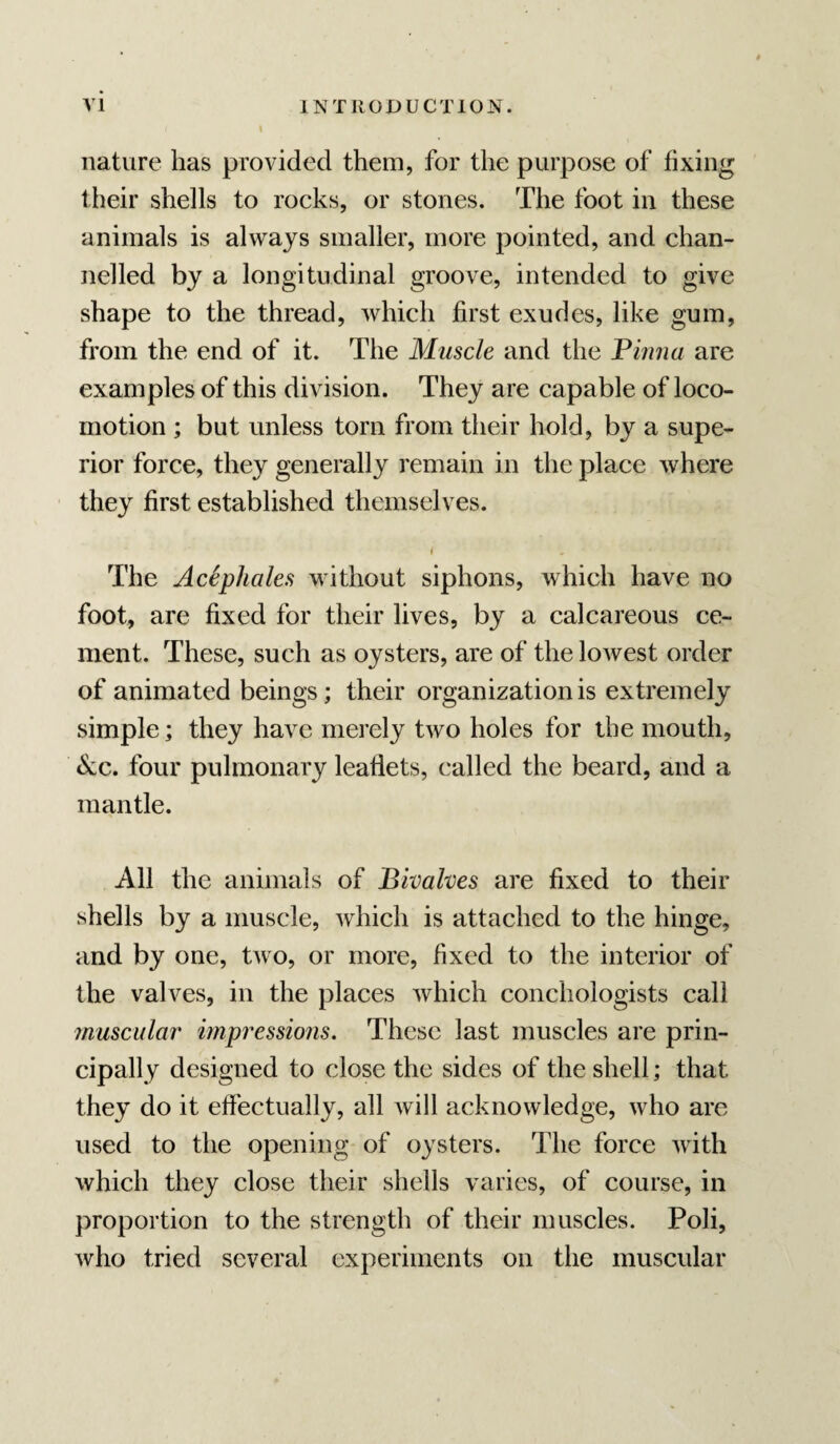 nature has provided them, for the purpose of fixing their shells to rocks, or stones. The foot in these animals is always smaller, more pointed, and chan¬ nelled by a longitudinal groove, intended to give shape to the thread, Avhich first exudes, like gum, from the end of it. The Muscle and the Piima are examples of this division. They are capable of loco¬ motion ; but unless torn from their hold, by a supe¬ rior force, they generally remain in the place where they first established themselves. i The AcSphales without siphons, which have no foot, are fixed for their lives, by a calcareous ce¬ ment. These, such as oysters, are of the lowest order of animated beings; their organization is extremely simple; they have merely two holes for the mouth, ^cc. four pulmonary leaflets, called the beard, and a mantle. All the animals of Bivalves are fixed to their shells by a muscle, which is attached to the hinge, and by one, two, or more, fixed to the interior of the valves, in the places which conchologists call muscular' impressions. These last muscles are prin¬ cipally designed to close the sides of the shell; that they do it effectually, all will acknowledge, who are used to the opening of oysters. The force with which they close their shells varies, of course, in proportion to the strength of their muscles. Poli, who tried several experiments on the muscular