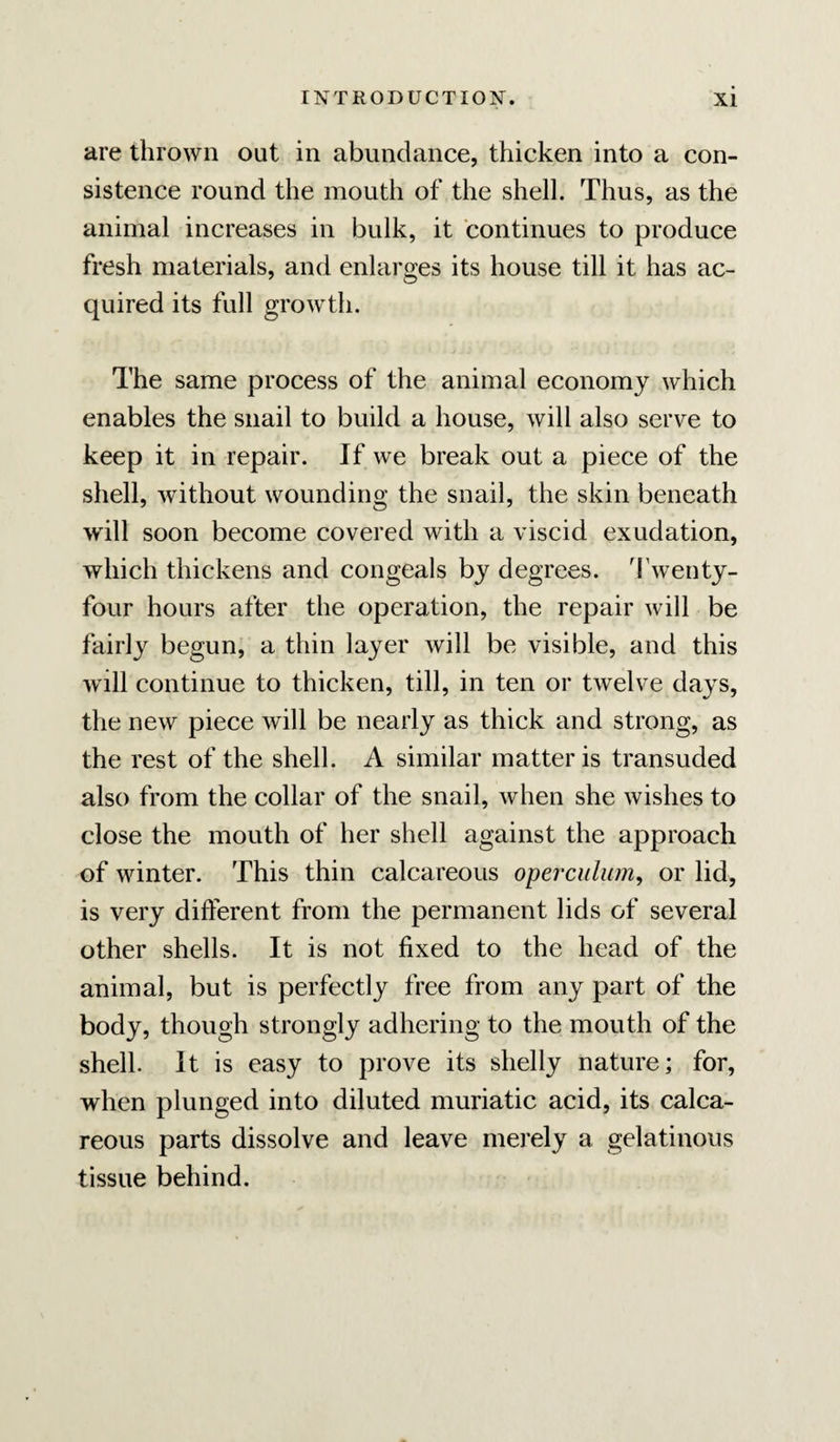 are thrown out in abundance, thicken into a con¬ sistence round the mouth of the shell. Thus, as the animal increases in bulk, it continues to produce fresh materials, and enlarges its house till it has ac¬ quired its full growth. The same process of the animal economy which enables the snail to build a house, will also serve to keep it in repair. If we break out a piece of the shell, without wounding the snail, the skin beneath will soon become covered with a viscid exudation, which thickens and congeals by degrees. Twenty- four hours after the operation, the repair will be fairly begun, a thin layer will be visible, and this will continue to thicken, till, in ten or twelve days, the new piece will be nearly as thick and strong, as the rest of the shell. A similar matter is transuded also from the collar of the snail, when she wishes to close the mouth of her shell against the approach of winter. This thin calcareous operculum^ or lid, is very different from the permanent lids of several other shells. It is not fixed to the head of the animal, but is perfectly free from any part of the body, though strongly adhering to the mouth of the shell. It is easy to prove its shelly nature; for, when plunged into diluted muriatic acid, its calca¬ reous parts dissolve and leave merely a gelatinous tissue behind.