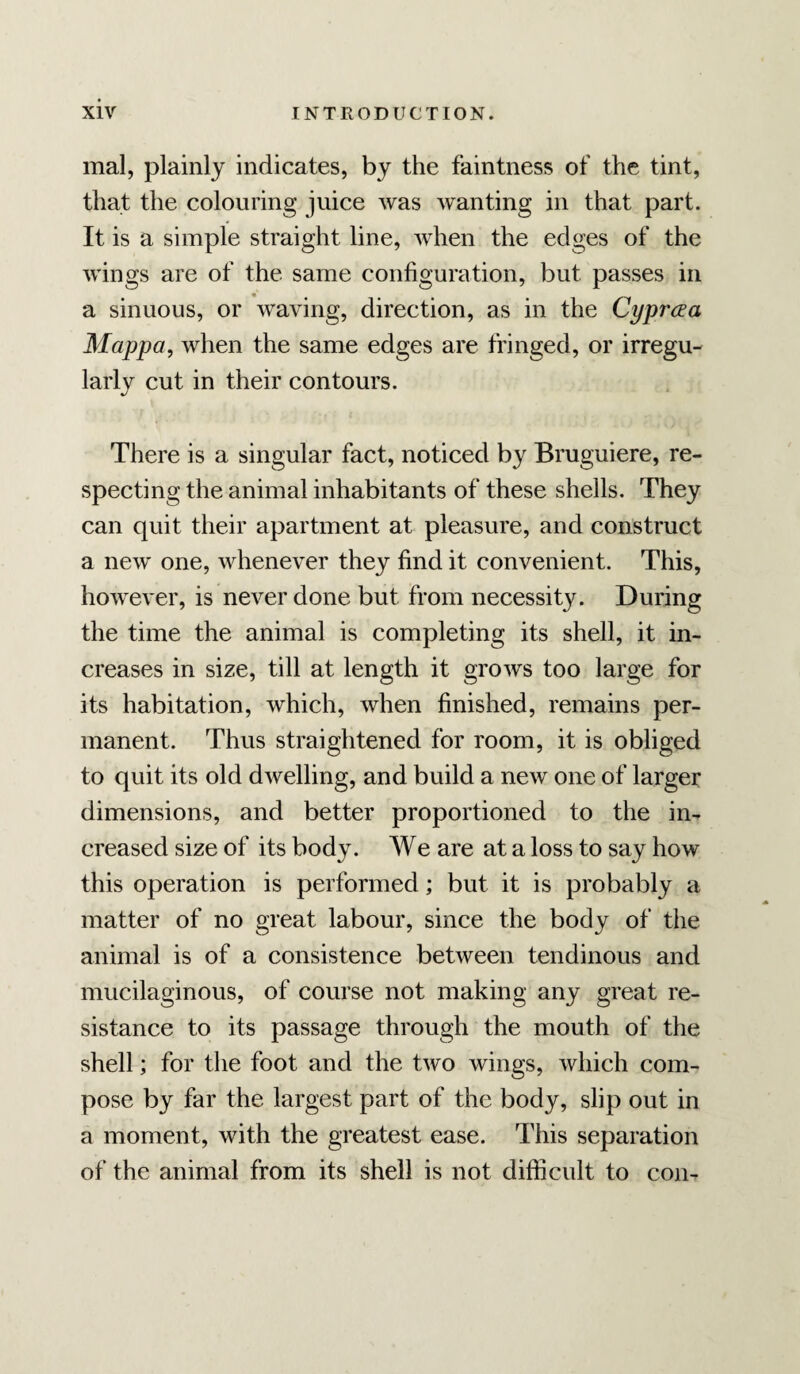 mal, plainly indicates, by the faintness of the tint, that the colouring juice was wanting in that part. It is a simple straight line, when the edges of the wings are of the same configuration, but passes in a sinuous, or waving, direction, as in the Cyprcea Mappa, when the same edges are fringed, or irregu¬ larly cut in their contours. There is a singular fact, noticed by Bruguiere, re¬ specting the animal inhabitants of these shells. They can quit their apartment at pleasure, and construct a new one, whenever they find it convenient. This, however, is never done but from necessity. During the time the animal is completing its shell, it in¬ creases in size, till at length it grows too large for its habitation, which, when finished, remains per¬ manent. Thus straightened for room, it is obliged to quit its old dwelling, and build a new one of larger dimensions, and better proportioned to the in¬ creased size of its body. We are at a loss to say how this operation is performed; but it is probably a matter of no great labour, since the body of the animal is of a consistence between tendinous and mucilaginous, of course not making any great re¬ sistance to its passage through the mouth of the shell; for the foot and the two wings, which com¬ pose by far the largest part of the body, slip out in a moment, with the greatest ease. This separation of the animal from its shell is not difficult to con-