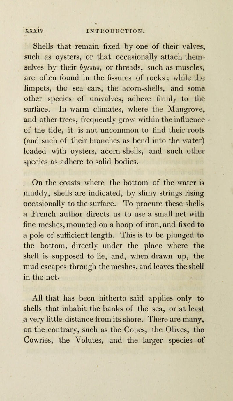 Shells that remain fixed by one of their valves, such as oysters, or that occasionally attach them¬ selves by their byssiis, or threads, such as muscles, are often found in the fissures of rocks; while the limpets, the sea ears, the acorn-shells, and some other species of univalves, adhere firmly to the surface. In warm climates, where the Mangrove, and other trees, frequently grow within the influence ^ of the tide, it is not uncommon to find their roots (and such of their branches as bend into the water) loaded with oysters, acorn-shells, and such other species as adhere to solid bodies. On the coasts where the bottom of the w^ater is muddy, shells are indicated, by slimy strings rising occasionally to the surface. To procure these shells a French author directs us to use a small net with fine meshes, mounted on a hoop of iron, and fixed to a pole of sufficient length. This is to be plunged to the bottom, directly under the place where the shell is supposed to lie, and, when drawn up, the mud escapes through the meshes, and leaves the shell in the net. All that has been hitherto said applies only to shells that inhabit the banks of the sea, or at least a very little distance from its shore. There are many, on the contrary, such as the Cones, the Olives, the Cowries, the Volutes, and the larger species of
