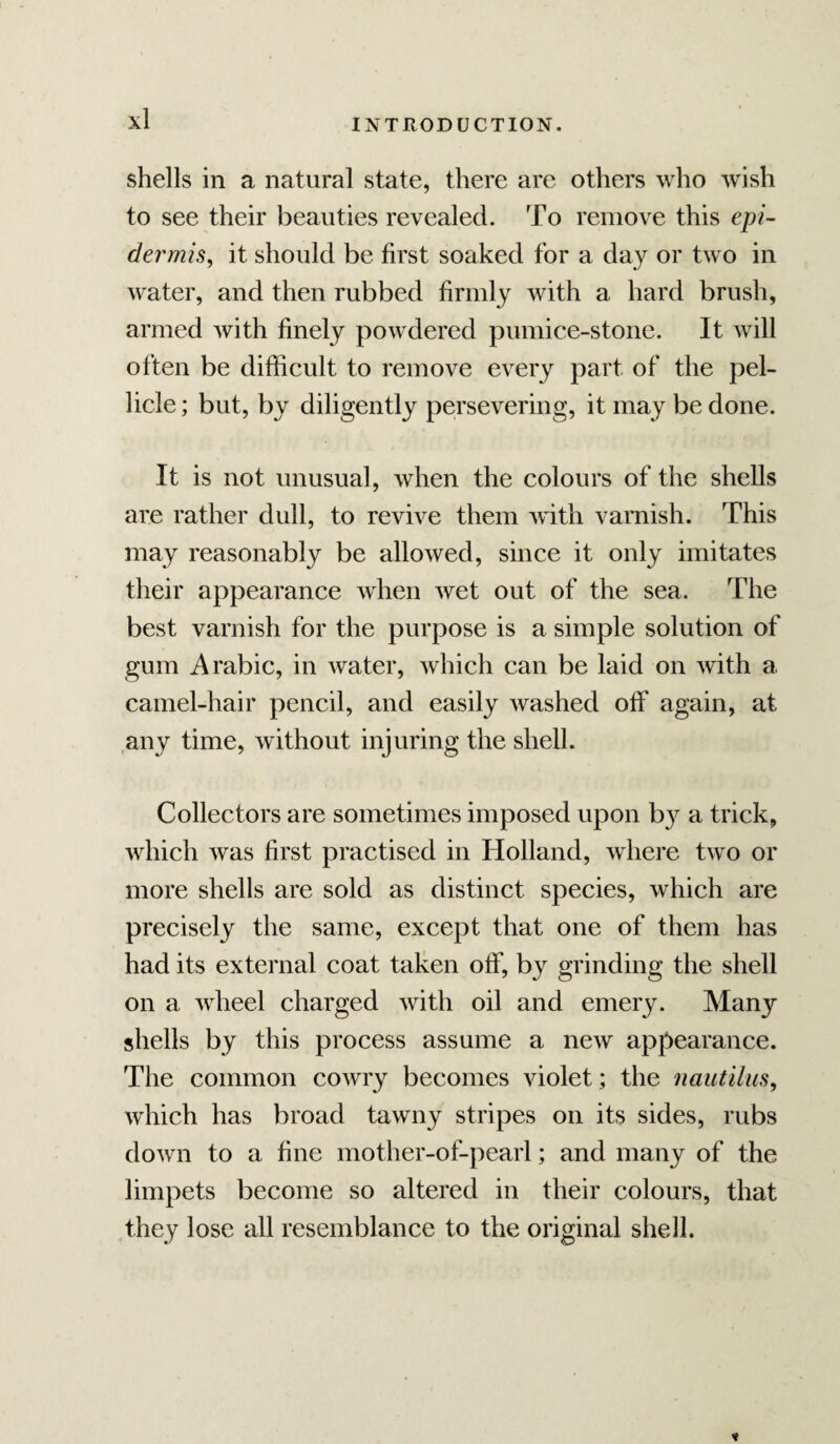 shells in a natural state, there are others who wish to see their beauties revealed. To remove this epi¬ dermis^ it should be first soaked for a day or two in water, and then rubbed firmly with a hard brush, armed with finely powdered pumice-stone. It will often be difficult to remove every part of the pel¬ licle ; but, by diligently persevering, it may be done. It is not unusual, when the colours of the shells are rather dull, to revive them with varnish. This may reasonably be allowed, since it only imitates their appearance when wet out of the sea. The best varnish for the purpose is a simple solution of gum Arabic, in water, which can be laid on with a camel-hair pencil, and easily washed off again, at any time, without injuring the shell. Collectors are sometimes imposed upon b}^ a trick, wdiich was first practised in Holland, where two or more shells are sold as distinct species, which are precisely the same, except that one of them has had its external coat taken off, by grinding the shell on a wheel charged with oil and emery. Many shells by this process assume a new appearance. The common cowry becomes violet; the nautilus^ which has broad tawny stripes on its sides, rubs down to a fine mother-of-pearl; and many of the limpets become so altered in their colours, that they lose all resemblance to the original shell.